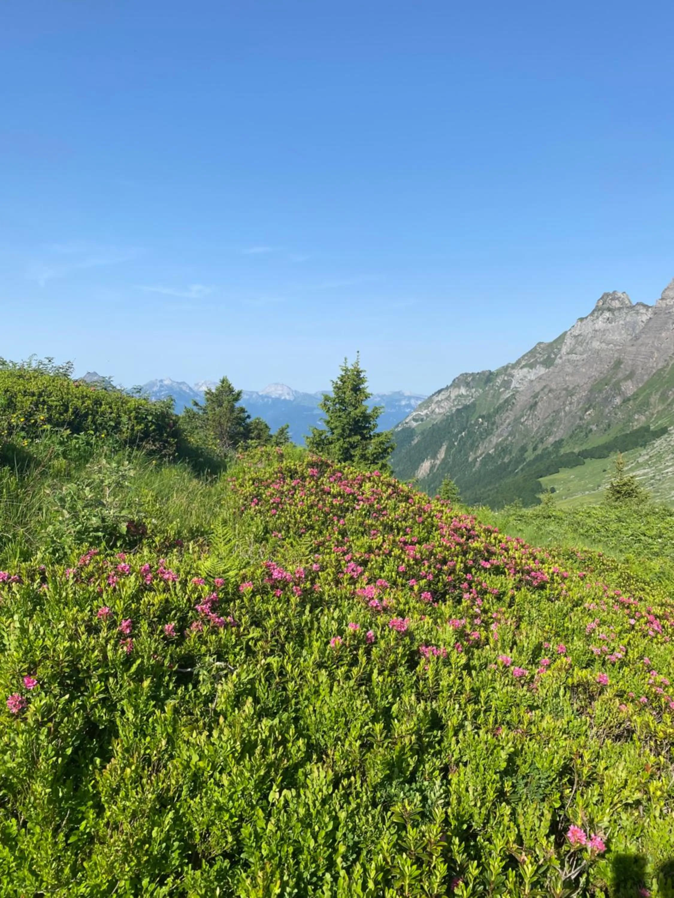 Chez Laurette et Louis