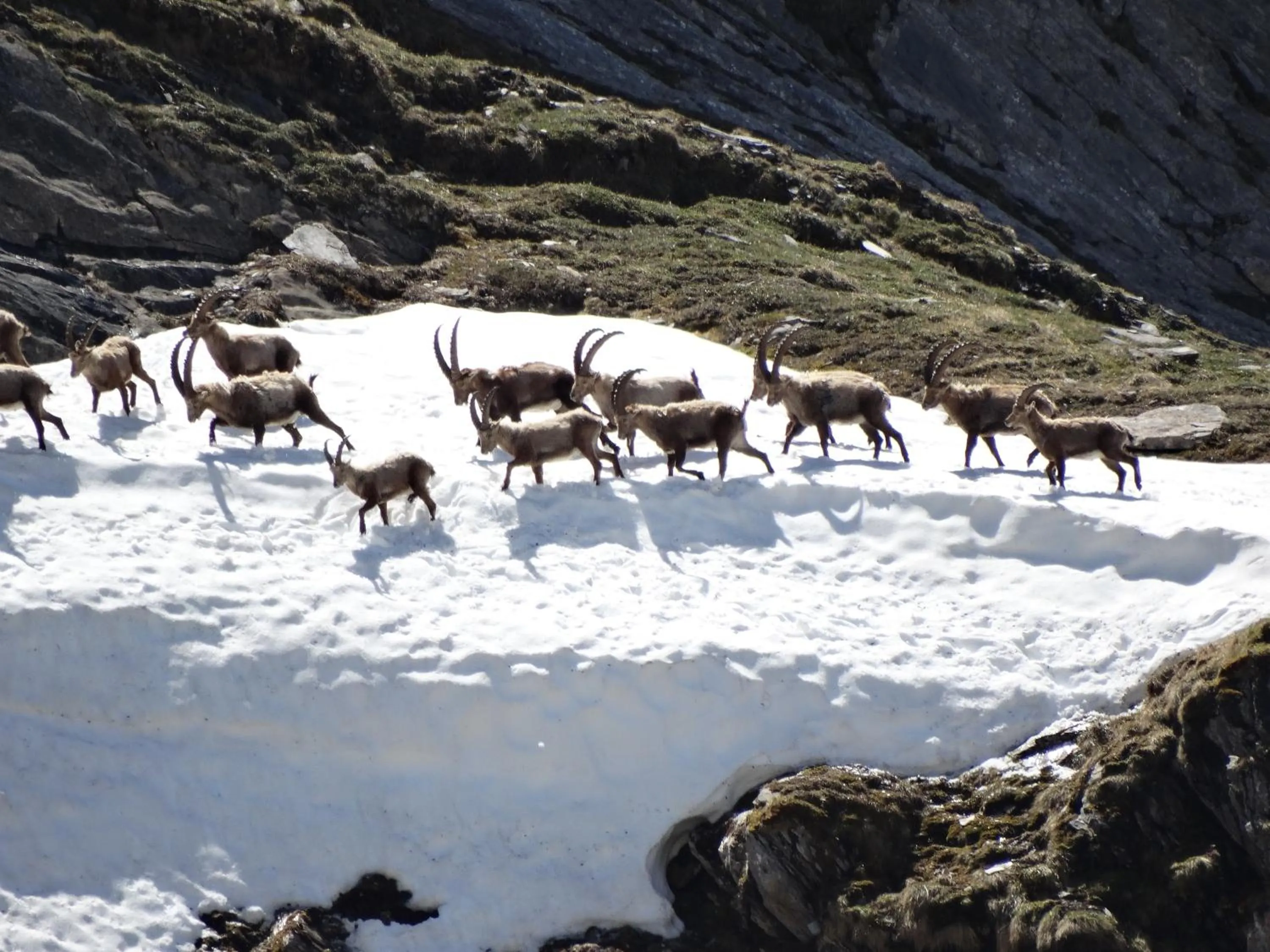 Other in Chez Laurette et Louis