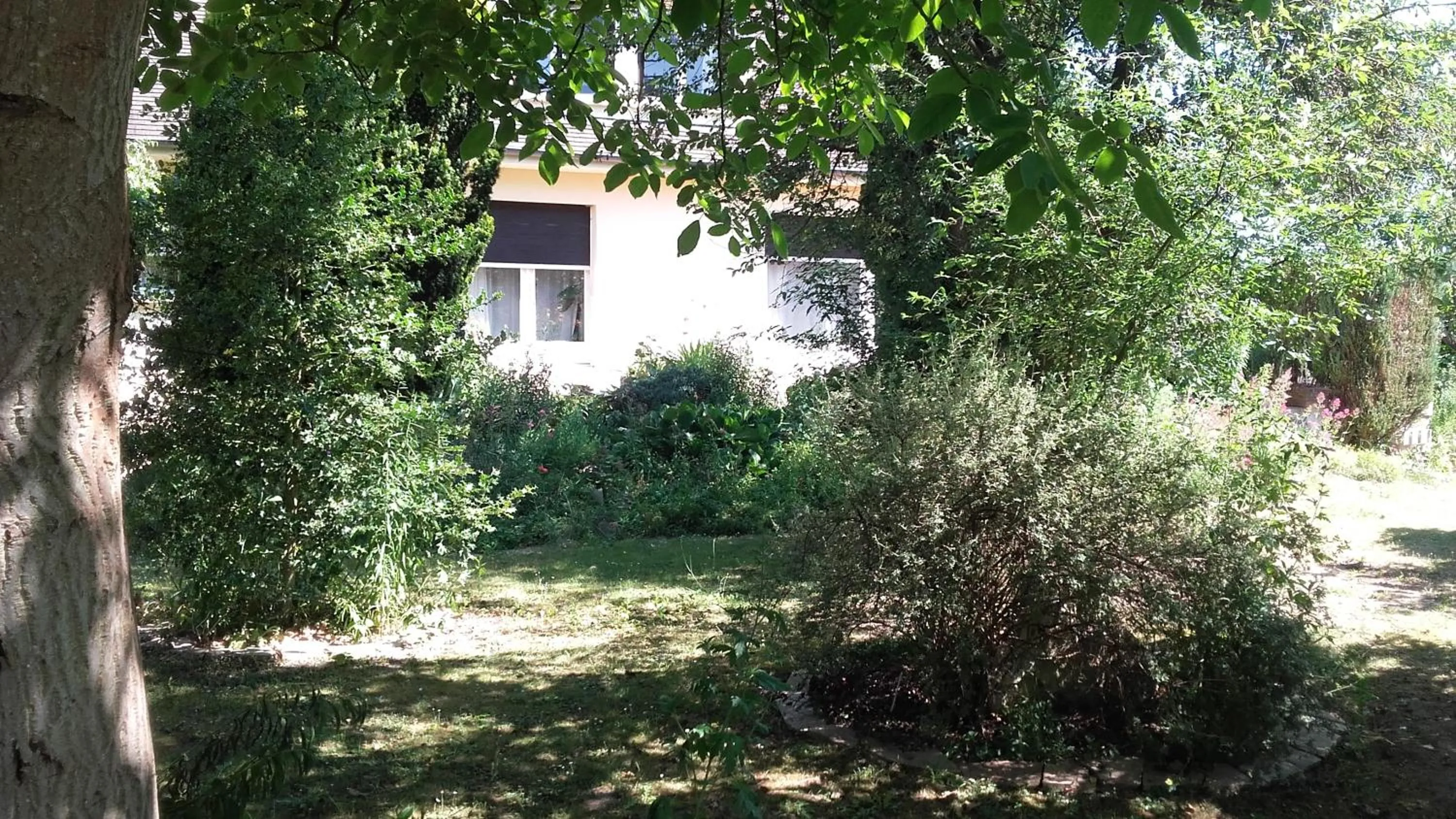 Garden in Chambres du Jardin Fleuri