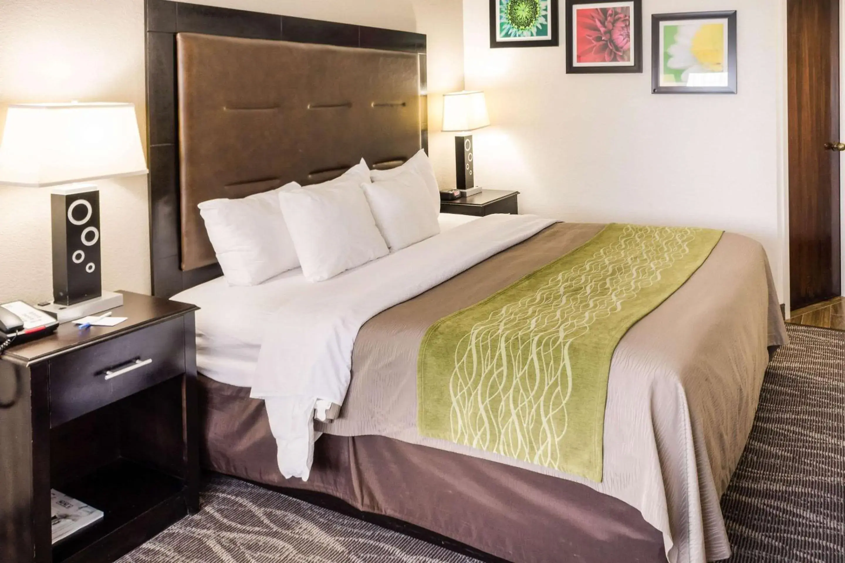 Standard King Room - Non-Smoking in Comfort Inn Downtown Charleston Standard King Room - Non-Smoking in Comfort Inn Downtown Charleston