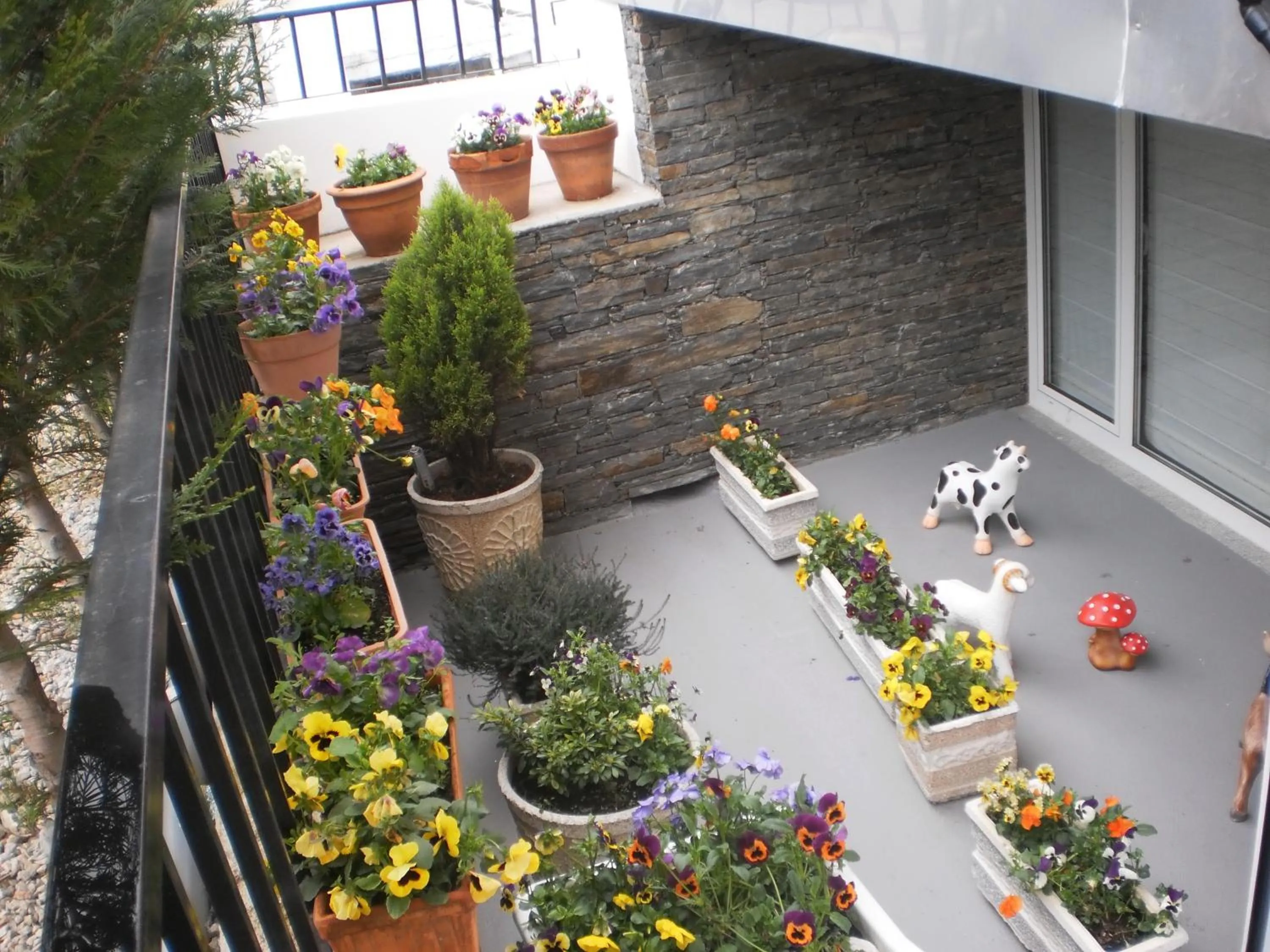 Balcony/Terrace in Hotel Santa Apolonia