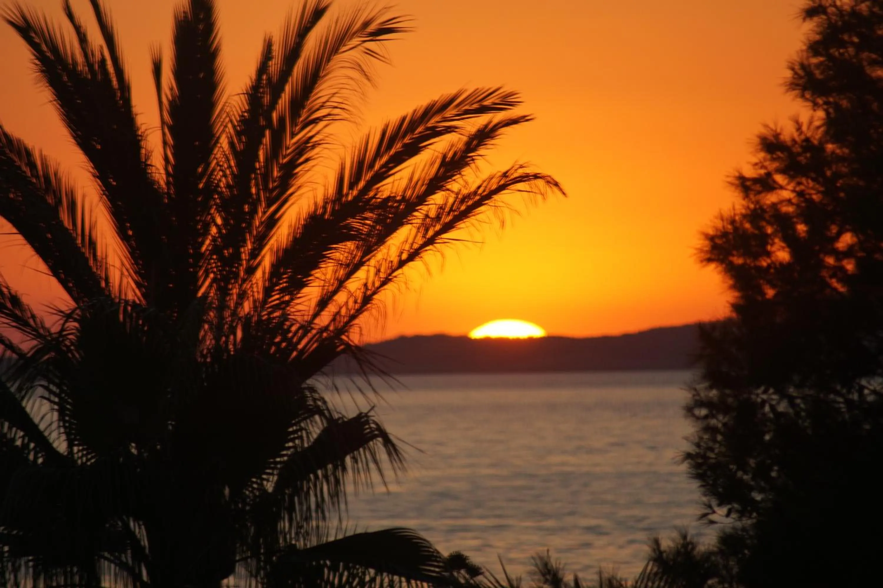 Garden in Hotel Abrat