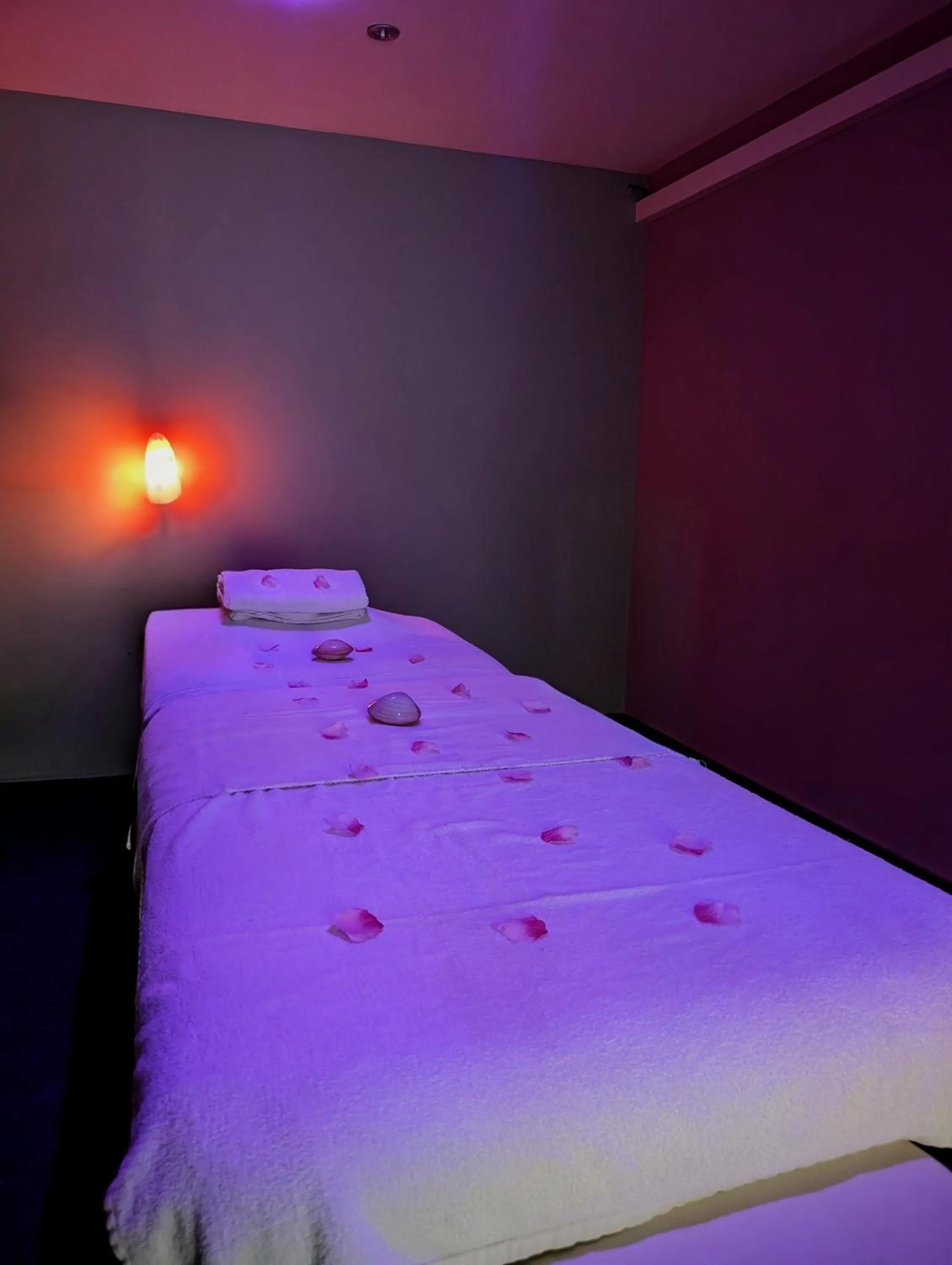 Massage, Bed in Logis Hotel Le Parc & Spa
