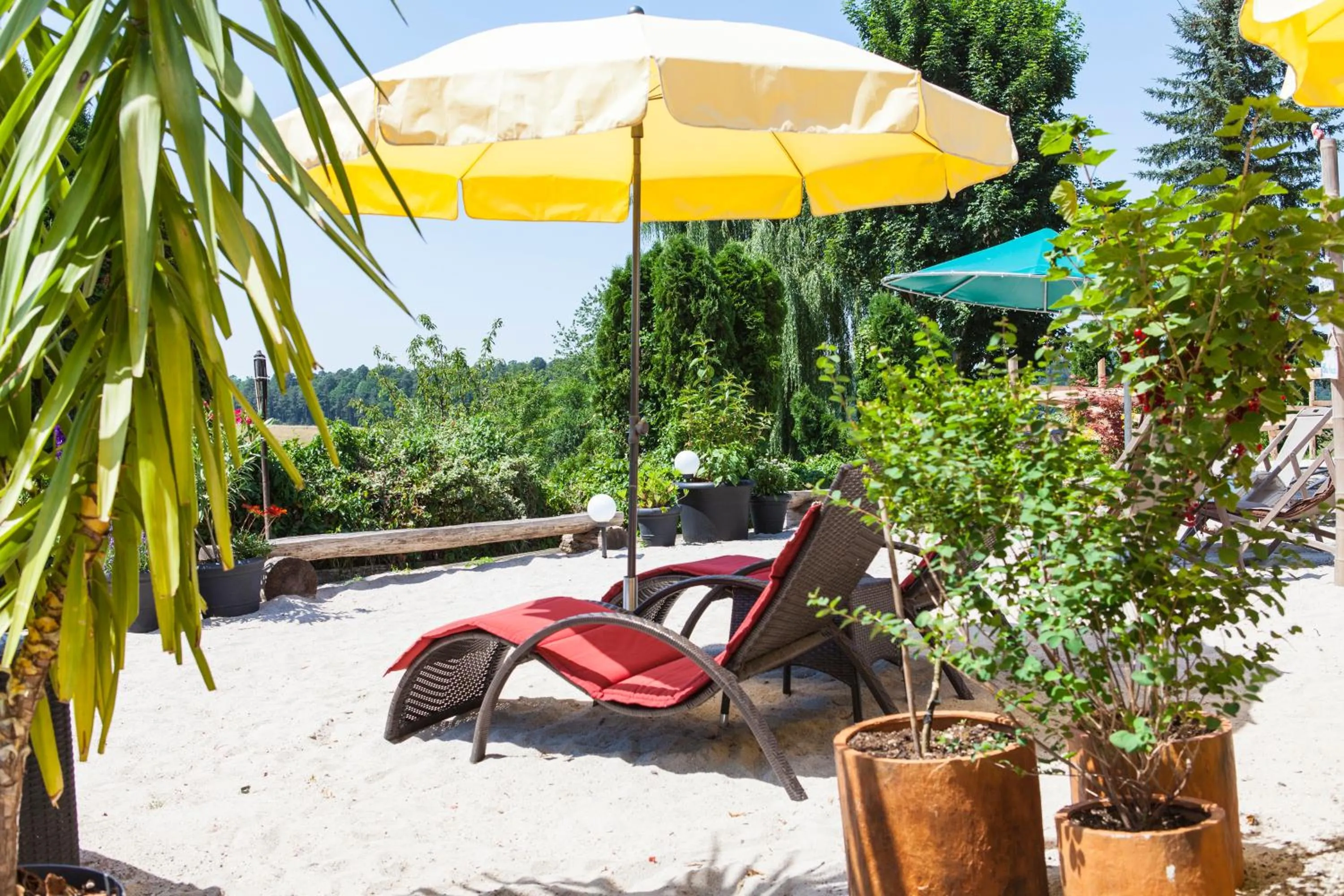 Garden in Longhorn Ranch Countryhotel - Garni