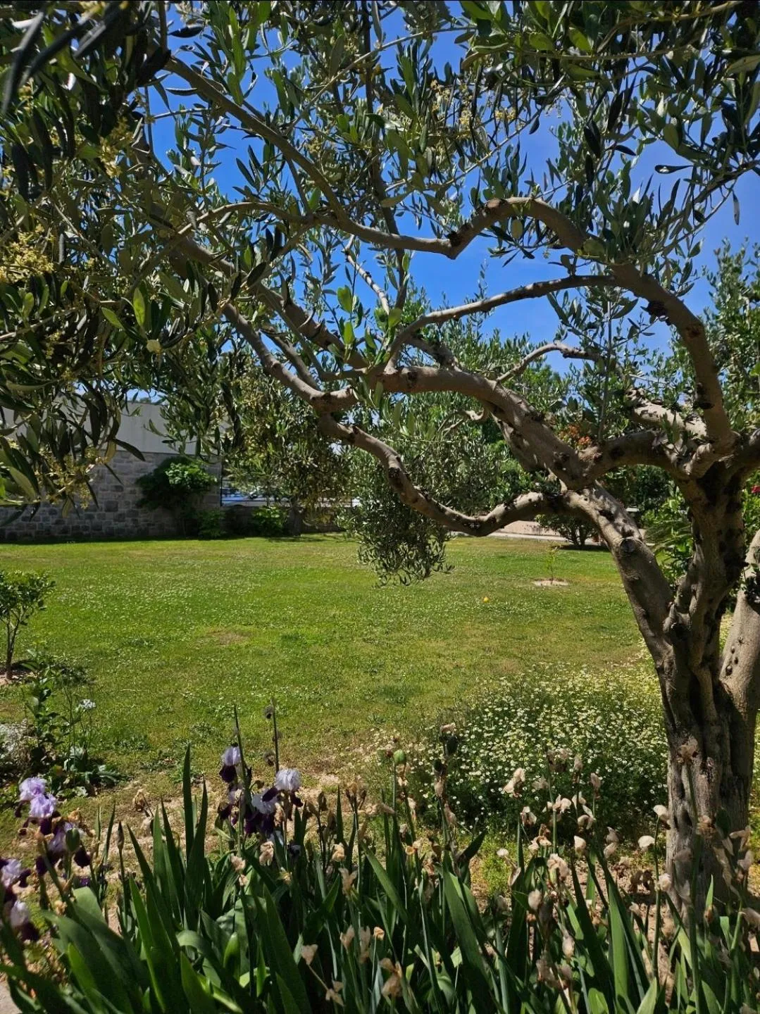 Villa-Apartments Karmel
