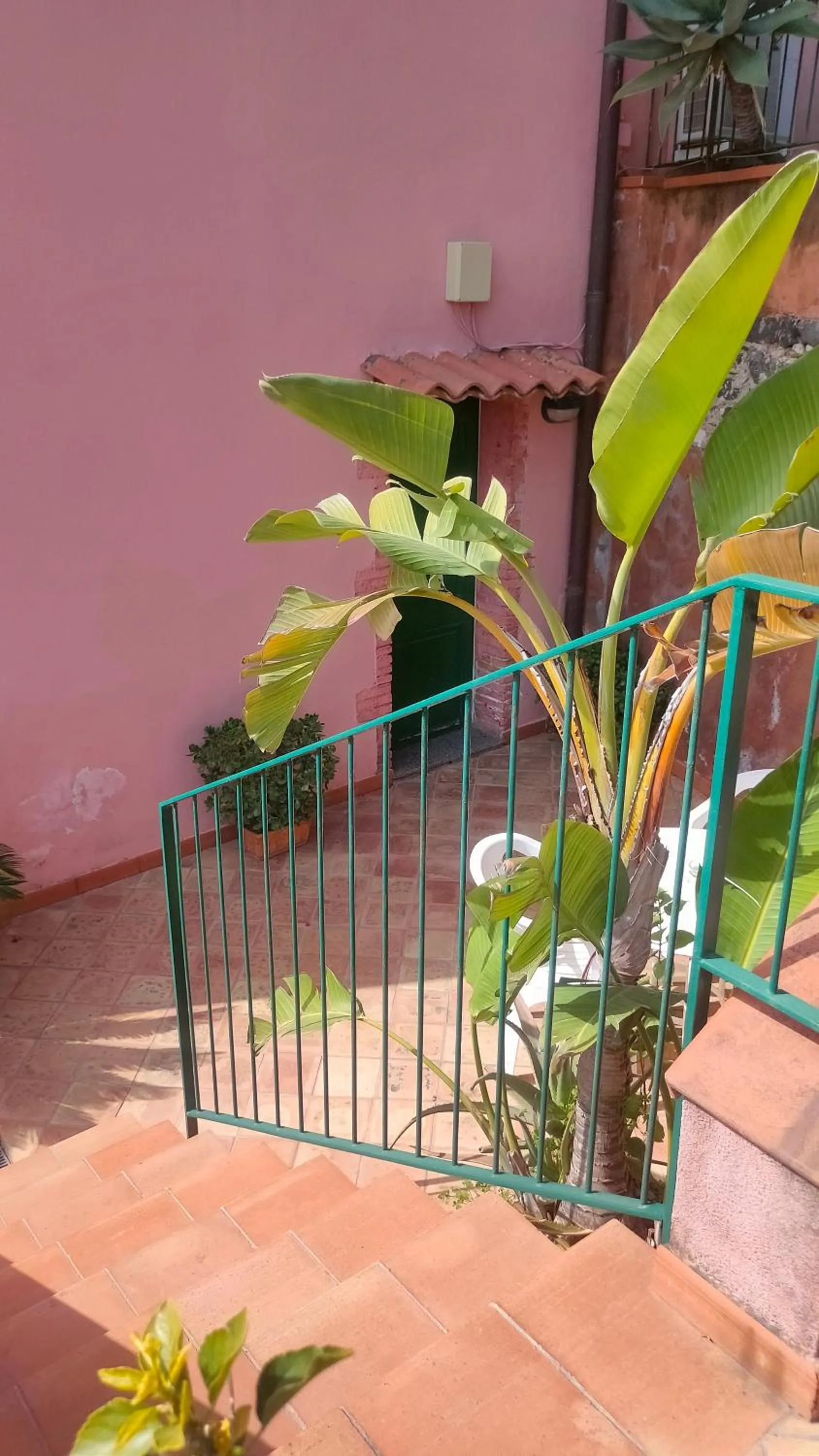Patio in Hotel Villino Gallodoro