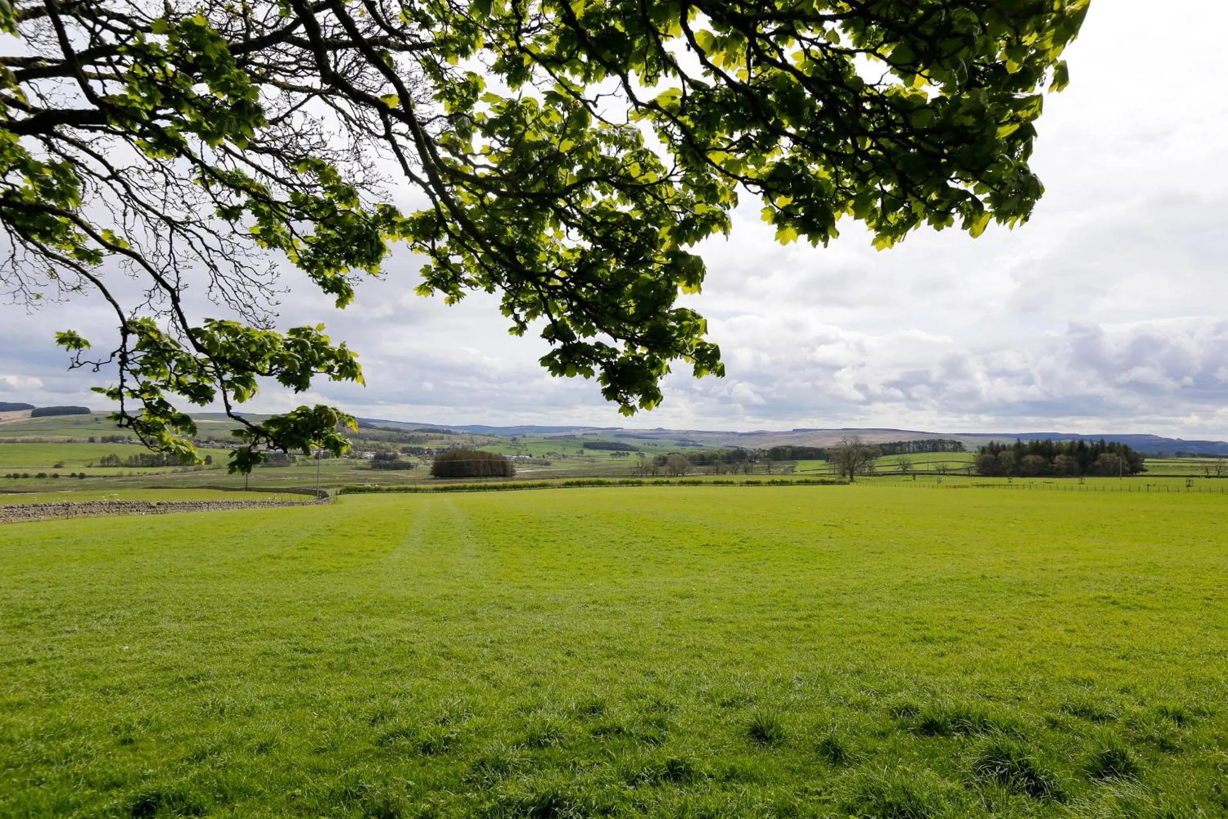 Neighbourhood in Dunns Houses Farmhouse B&B