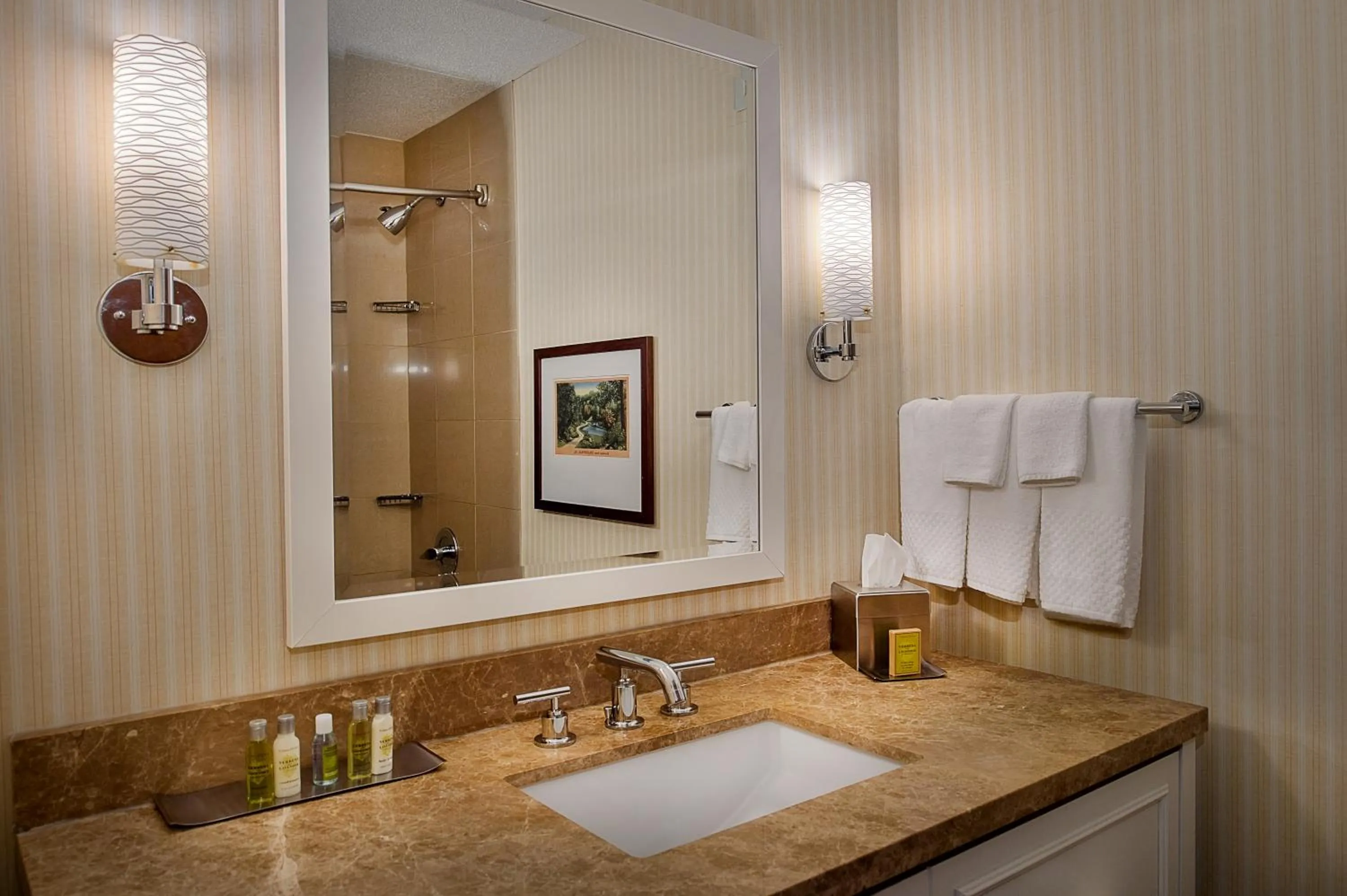 Bathroom in DoubleTree by Hilton Collinsville/St.Louis