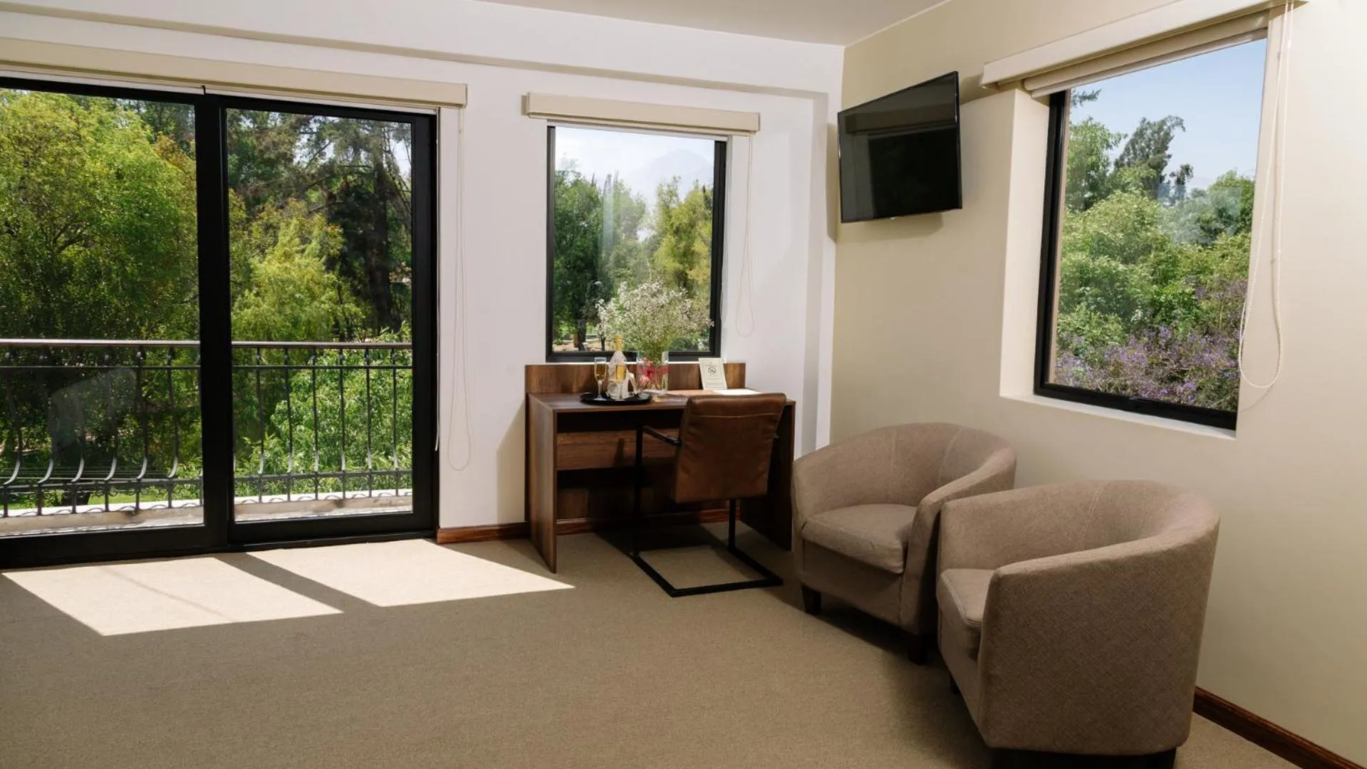 Photo of the whole room in Hotel Villa del Carmen