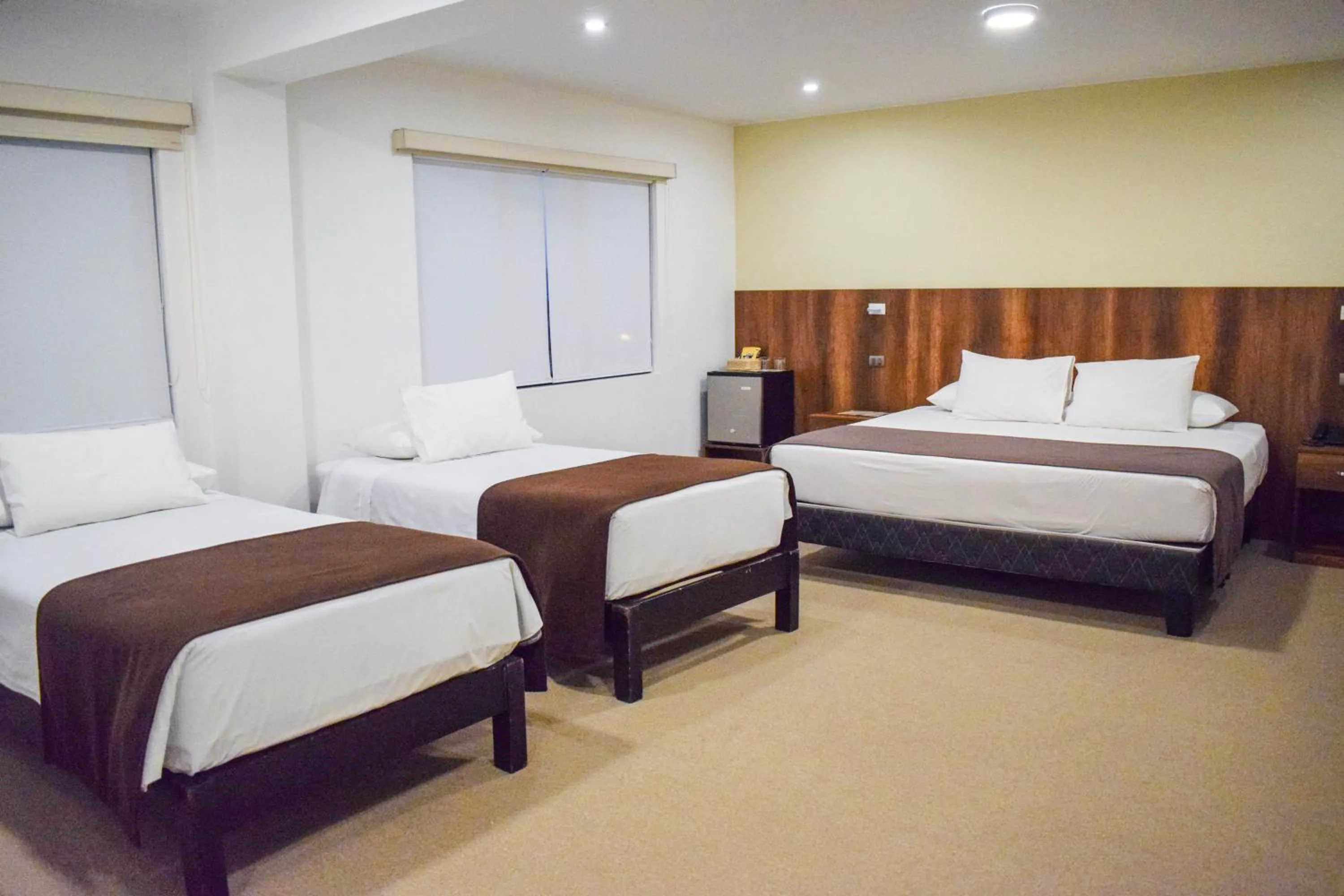 Photo of the whole room, Bed in Hotel Villa del Carmen