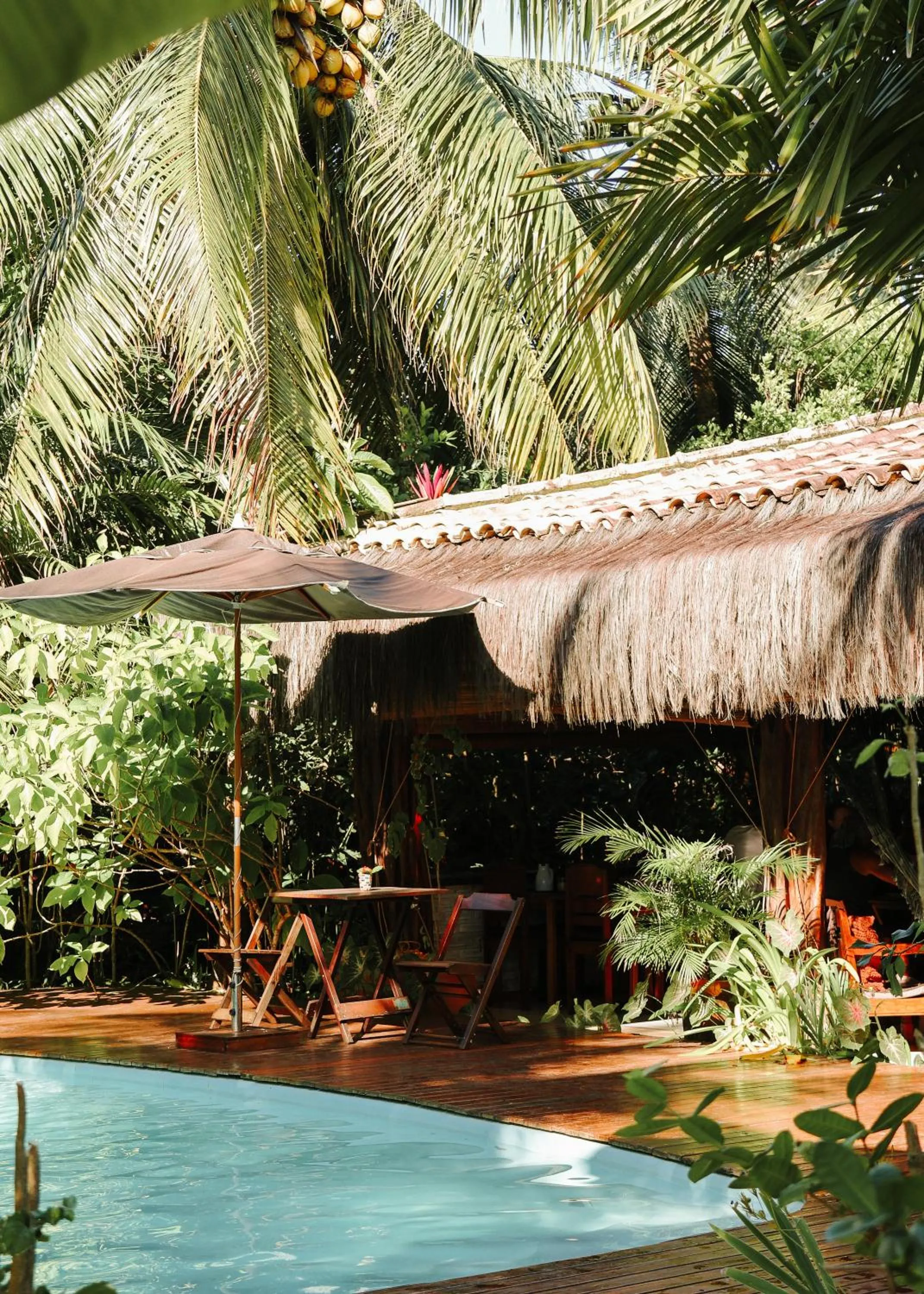 Garden in Na Villa dos Algodões