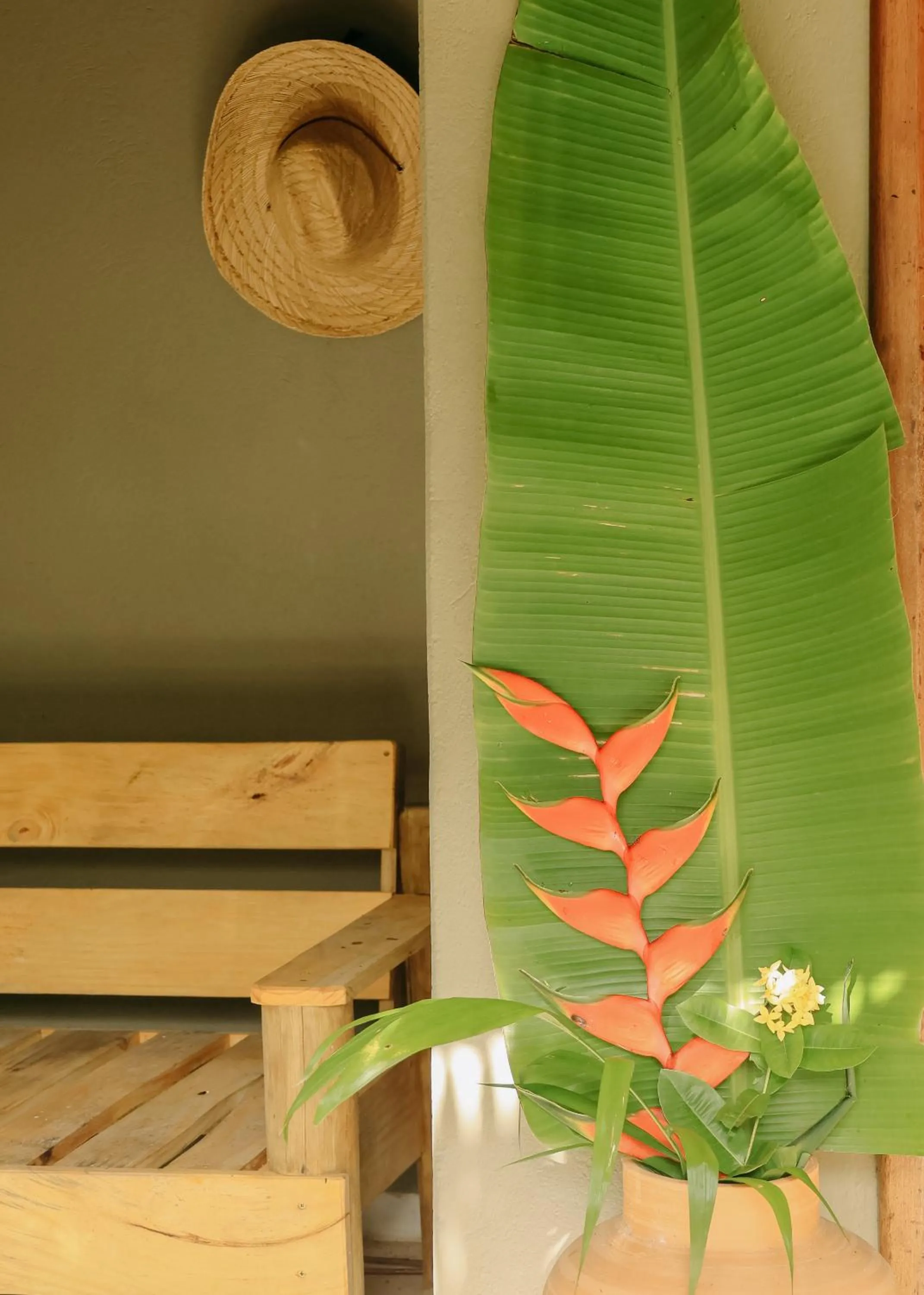 Na Villa dos Algodões