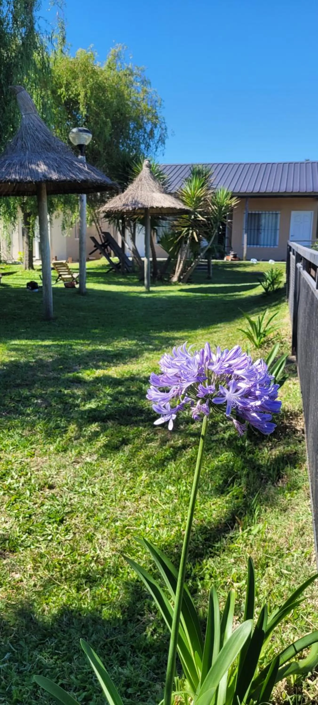 Aitue Bungalows