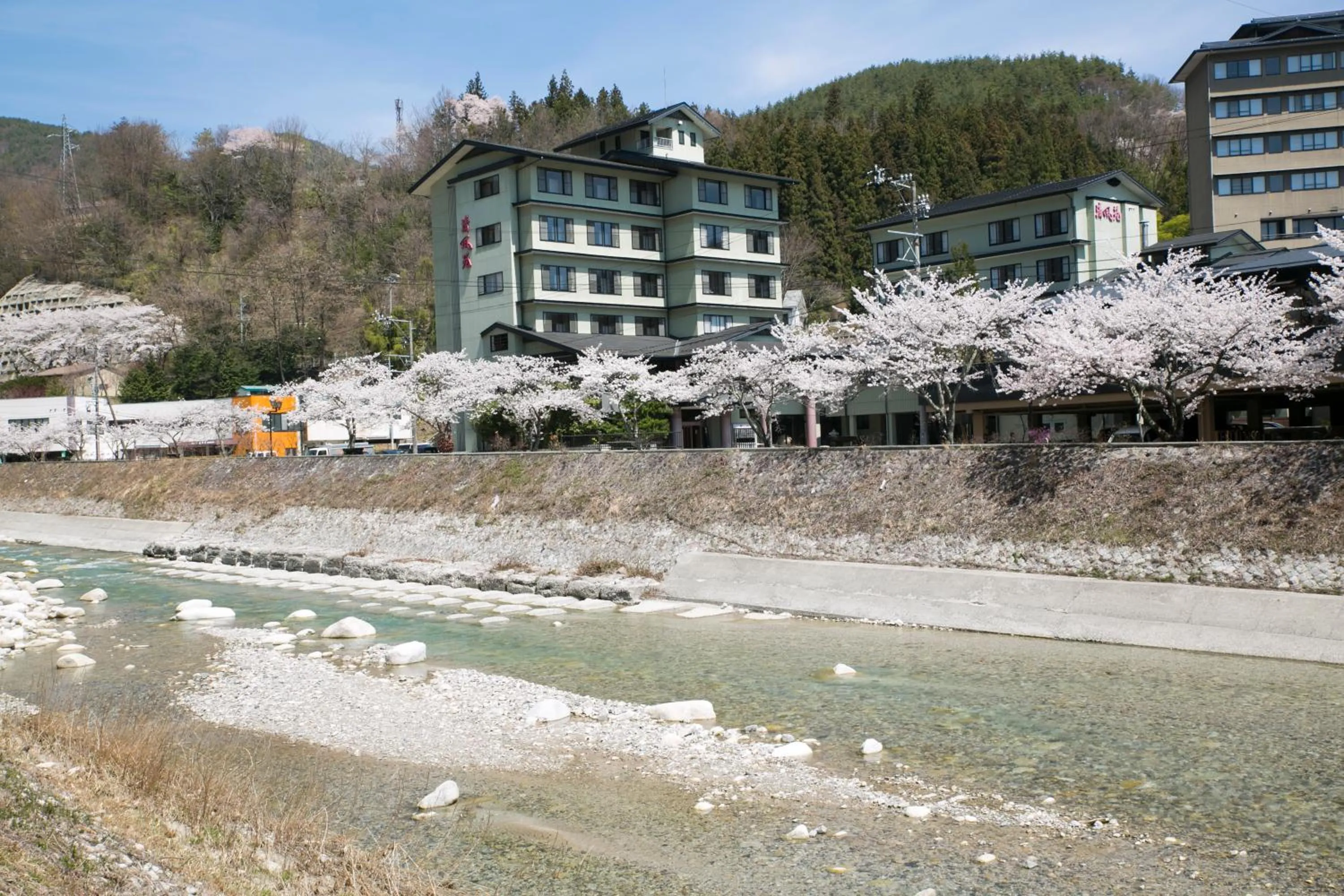 Spring in Yura No Yado Seifuen