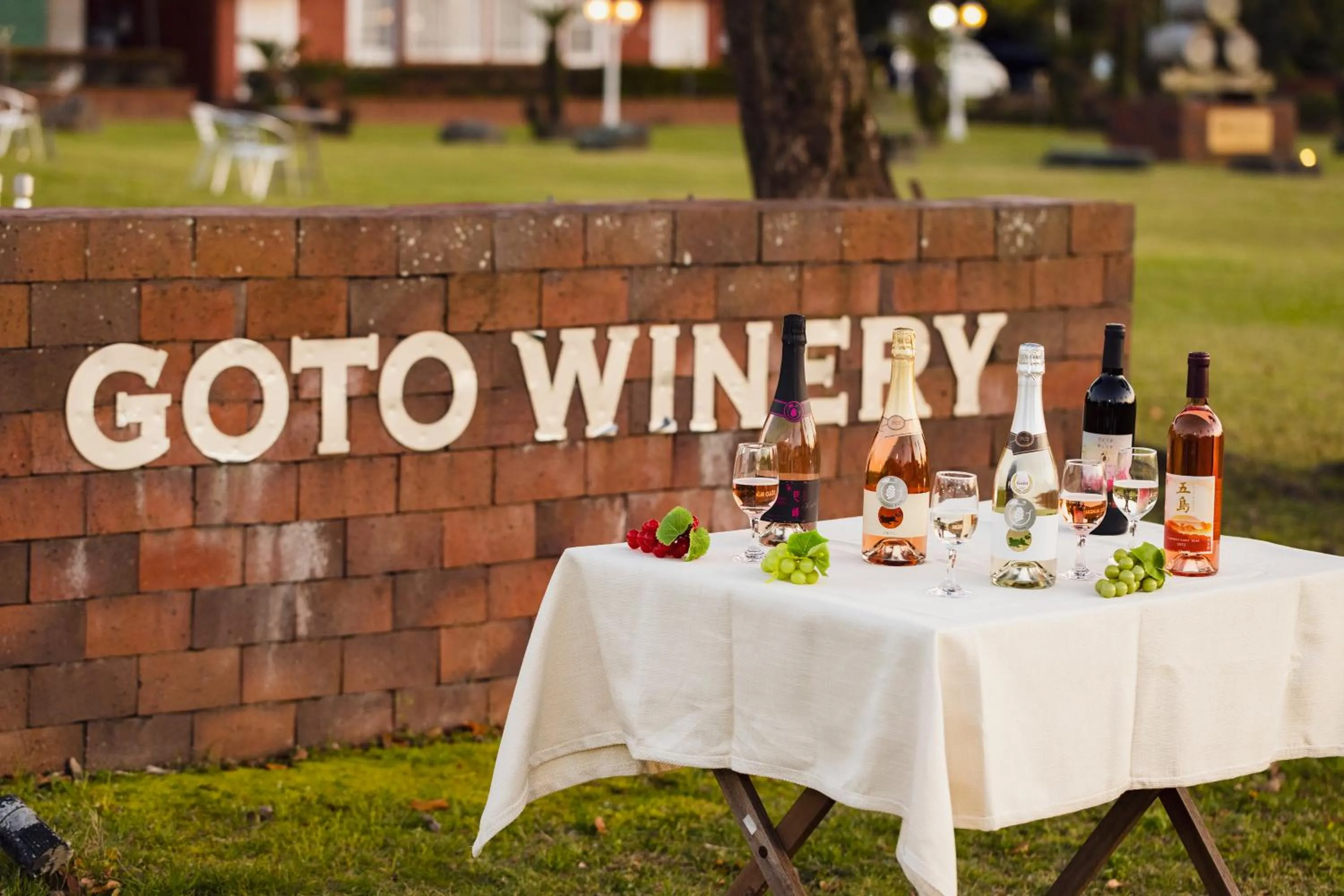 Alcoholic drinks in Goto Conkana Kingdom Winery & Resort