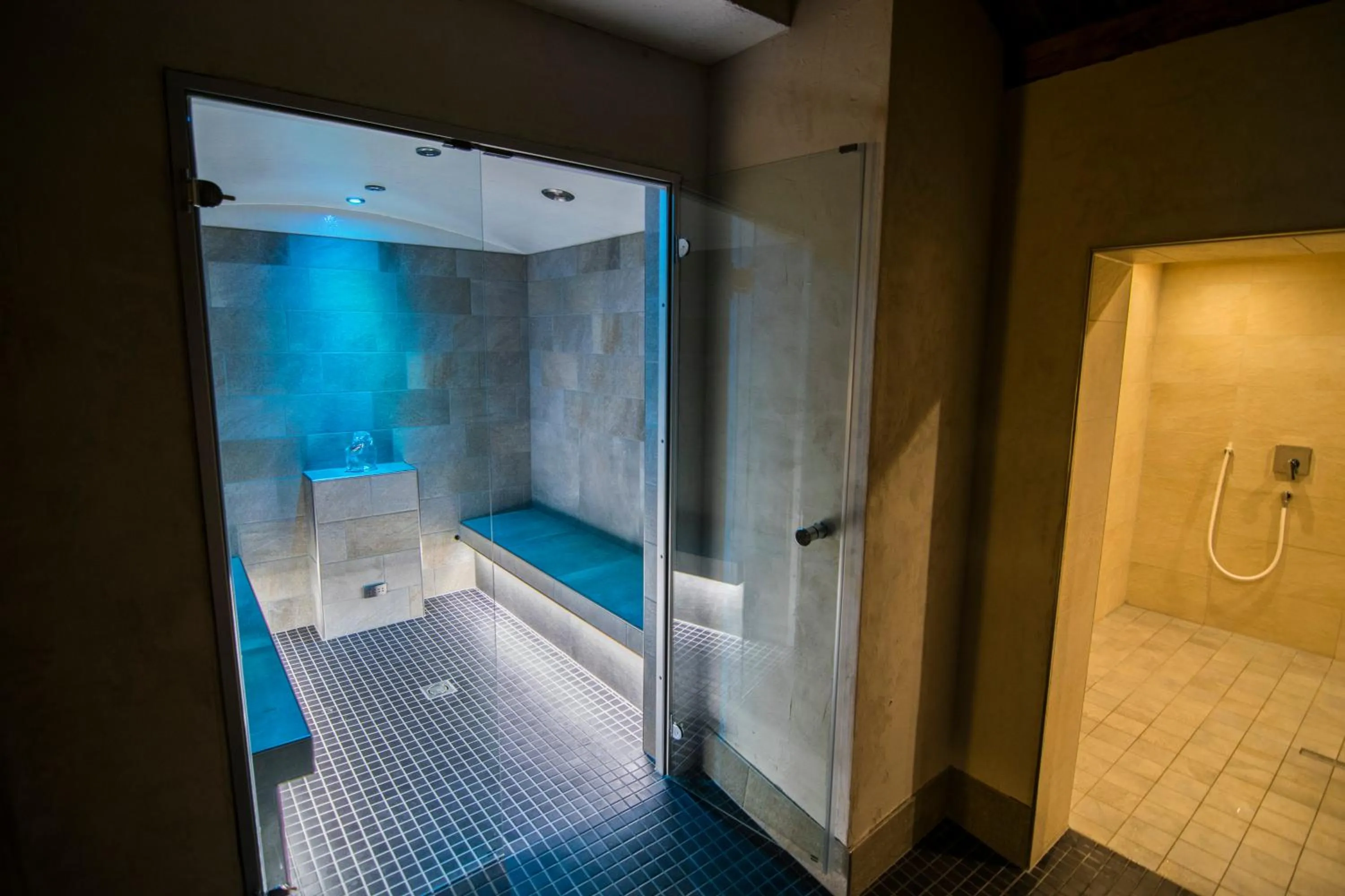 Spa and wellness centre/facilities in Hotel Berghof