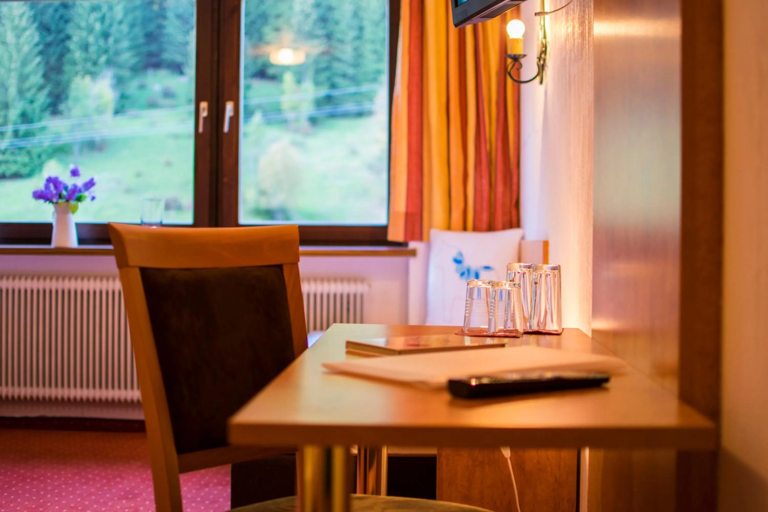 internet in Hotel Berghof