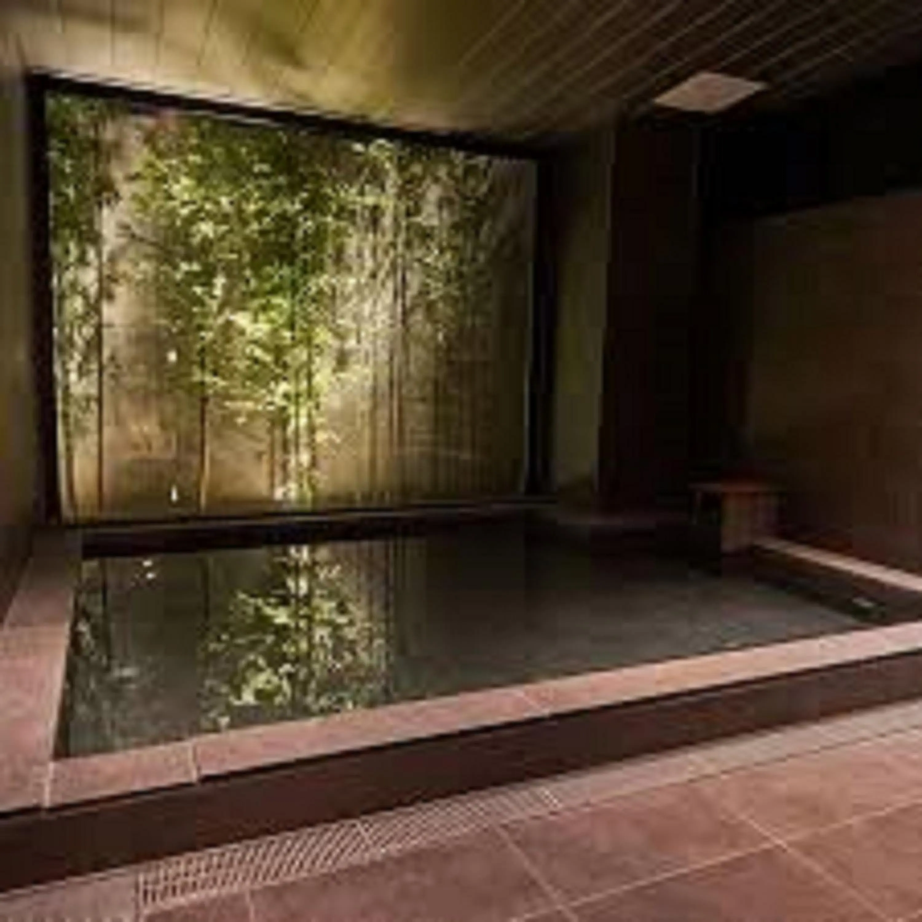 Public Bath in Conne Hotel