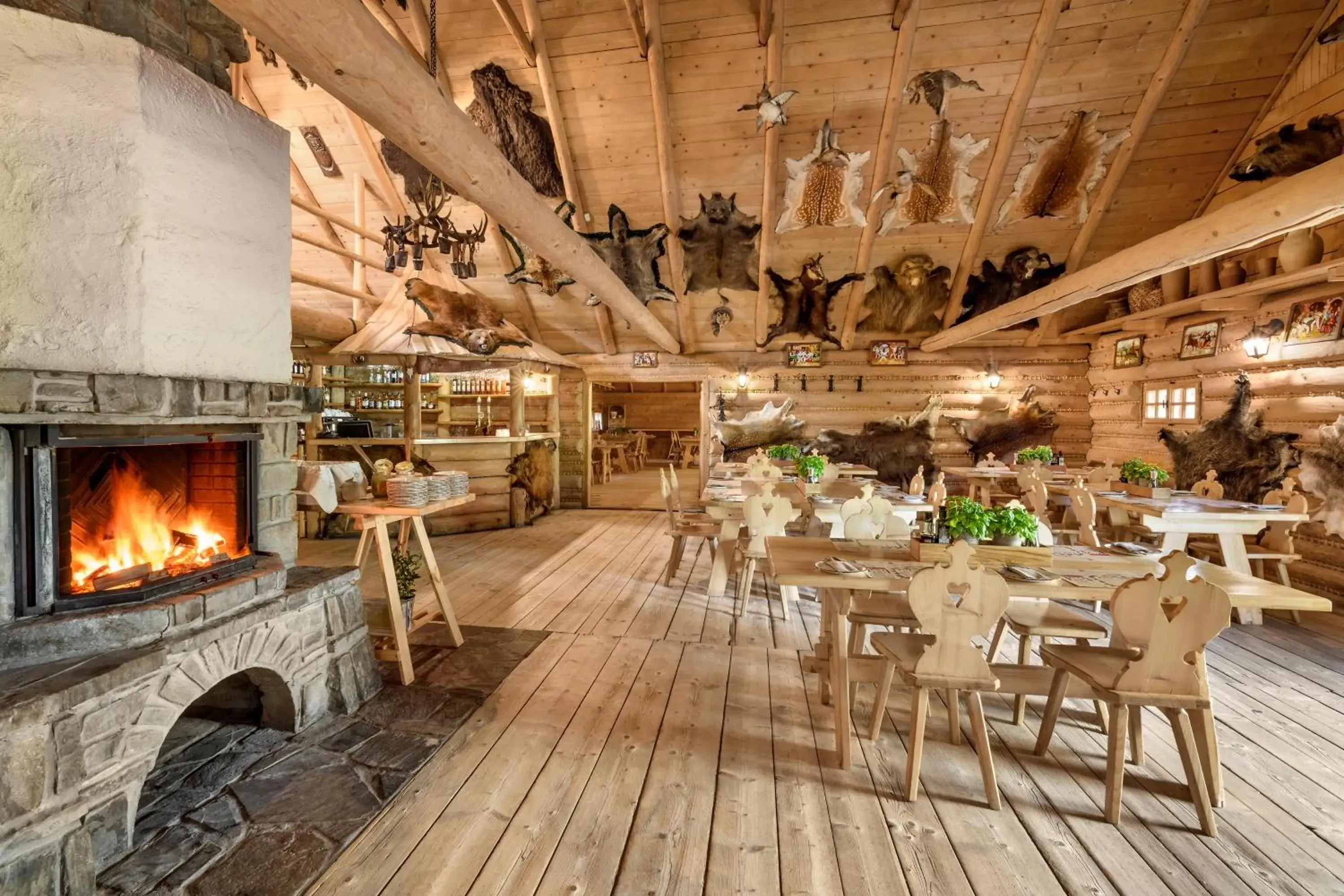 Restaurant/places to eat in Hotel Warszawianka Restaurant/places to eat in Hotel Warszawianka