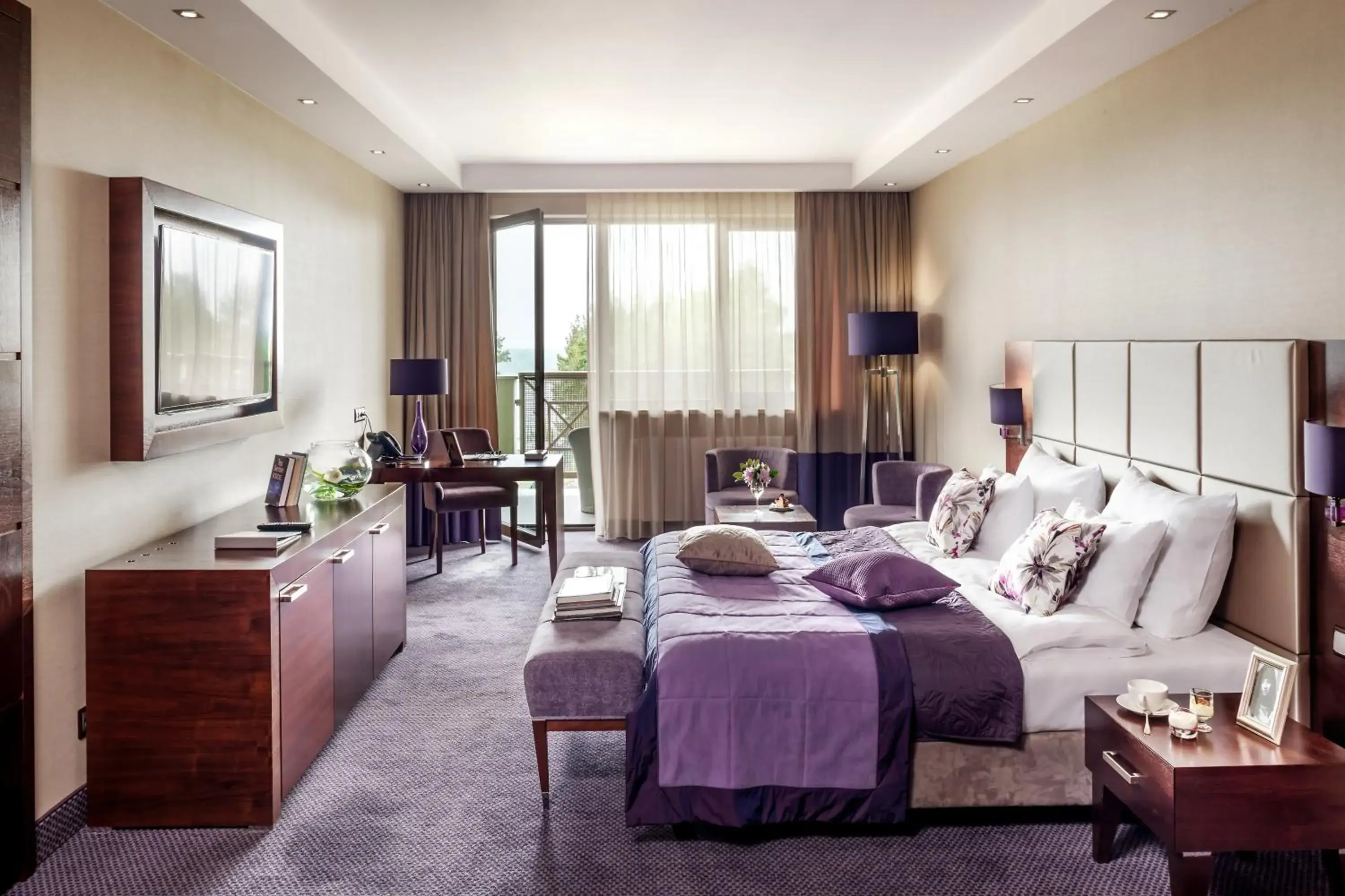 Senior Suite - single occupancy in Hotel Warszawianka Senior Suite - single occupancy in Hotel Warszawianka