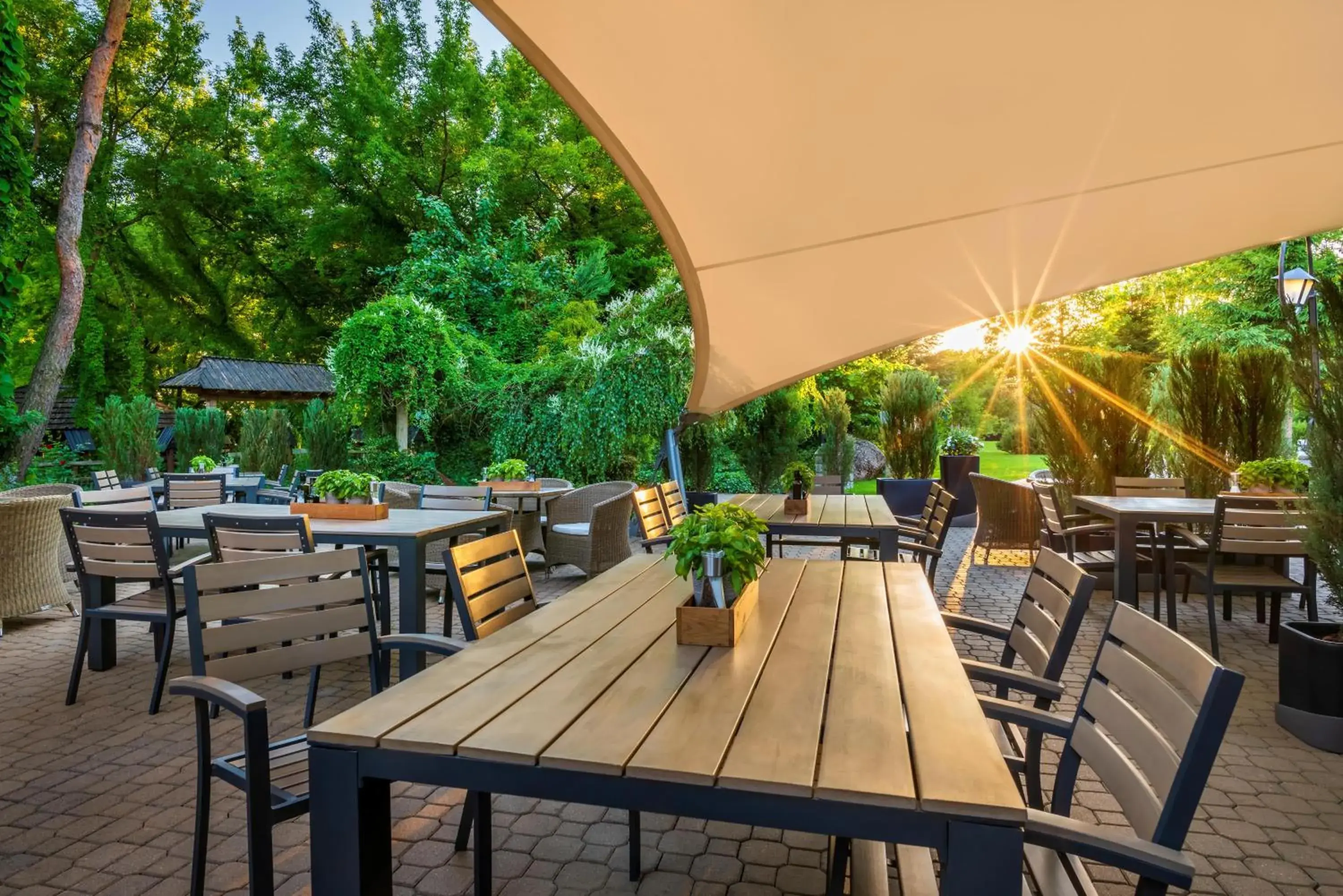 Restaurant/places to eat in Hotel Warszawianka Restaurant/places to eat in Hotel Warszawianka