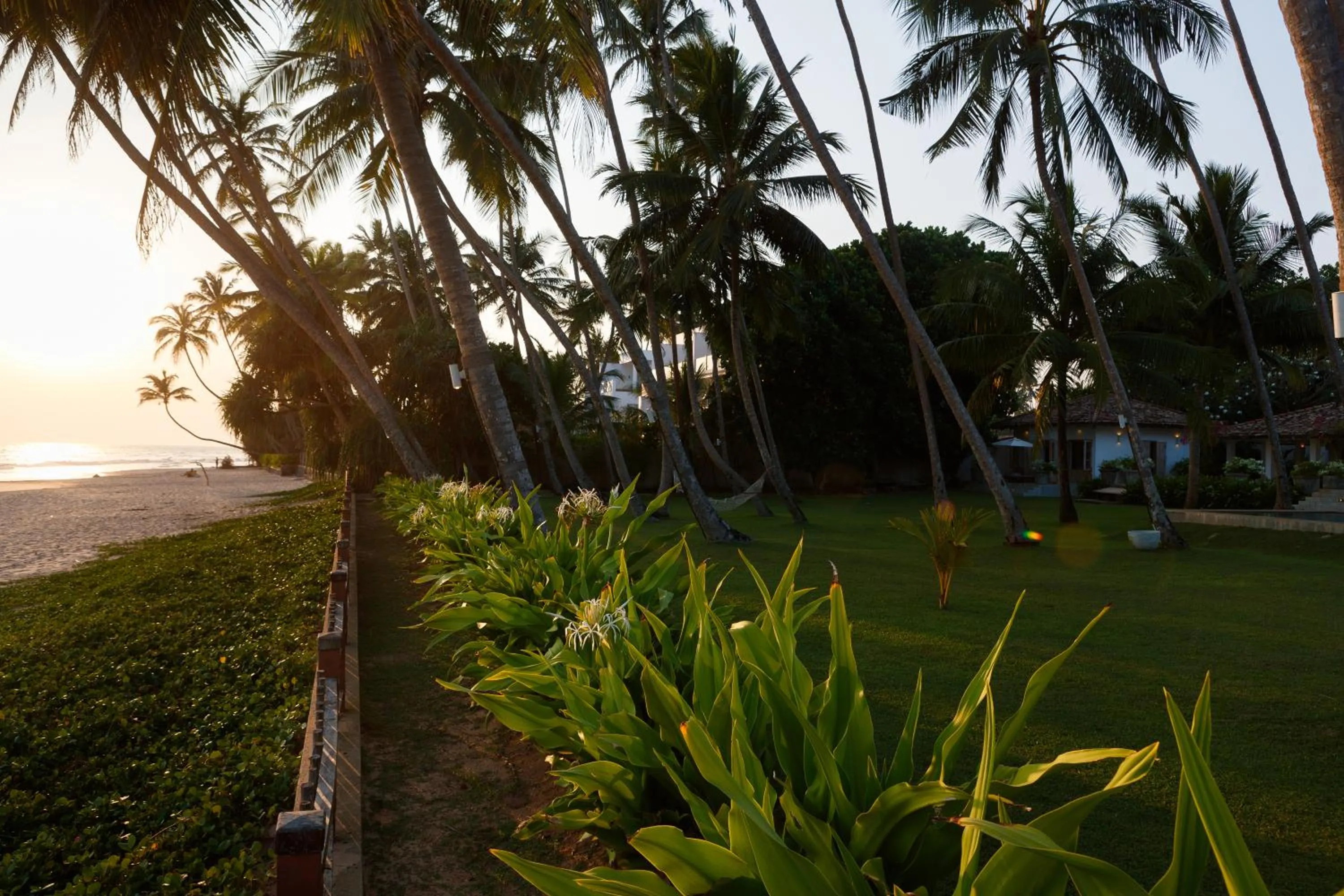 Garden in Habaraduwa House