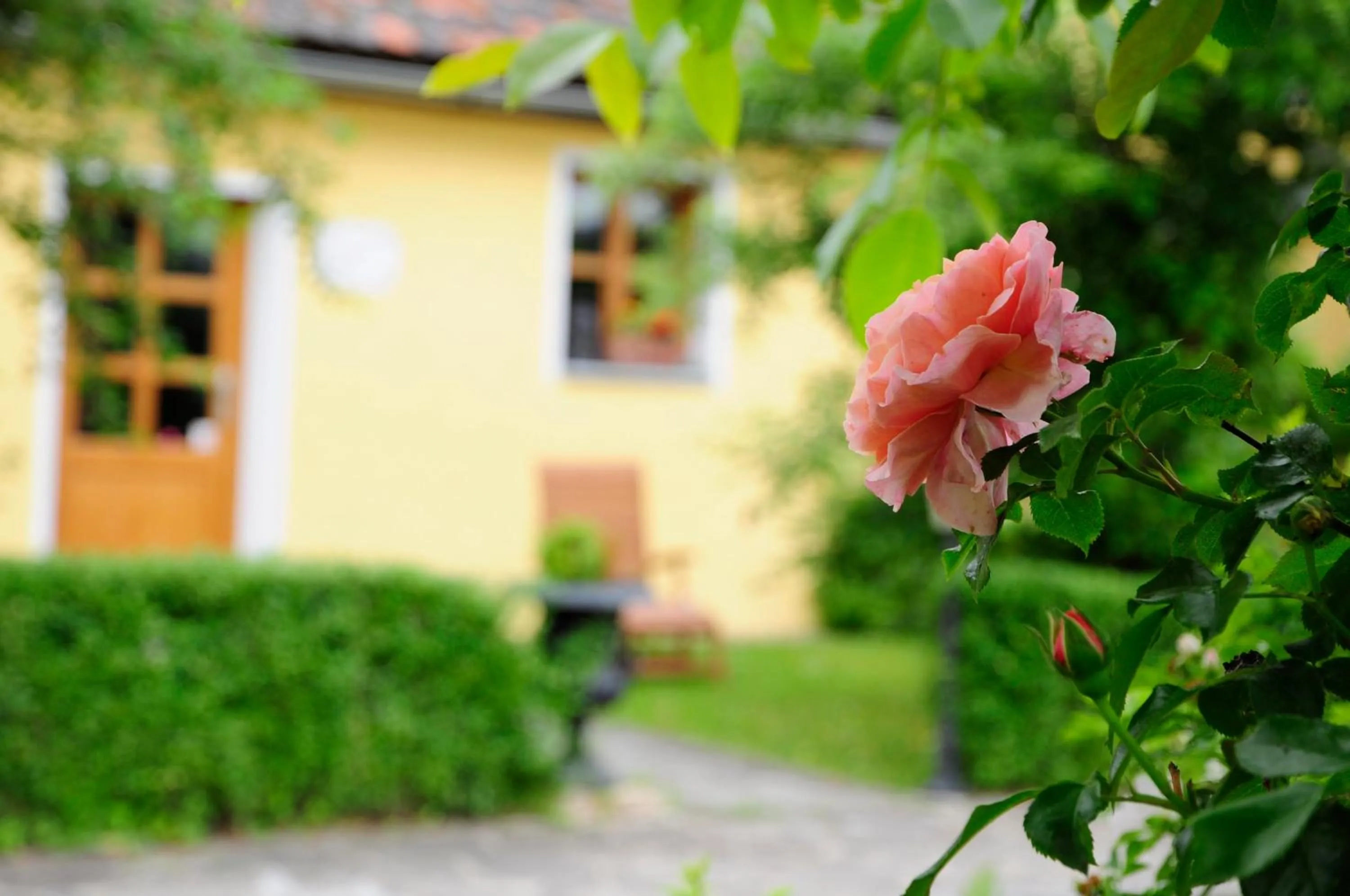 Garden in Hotel Schlossresidenz Heitzenhofen