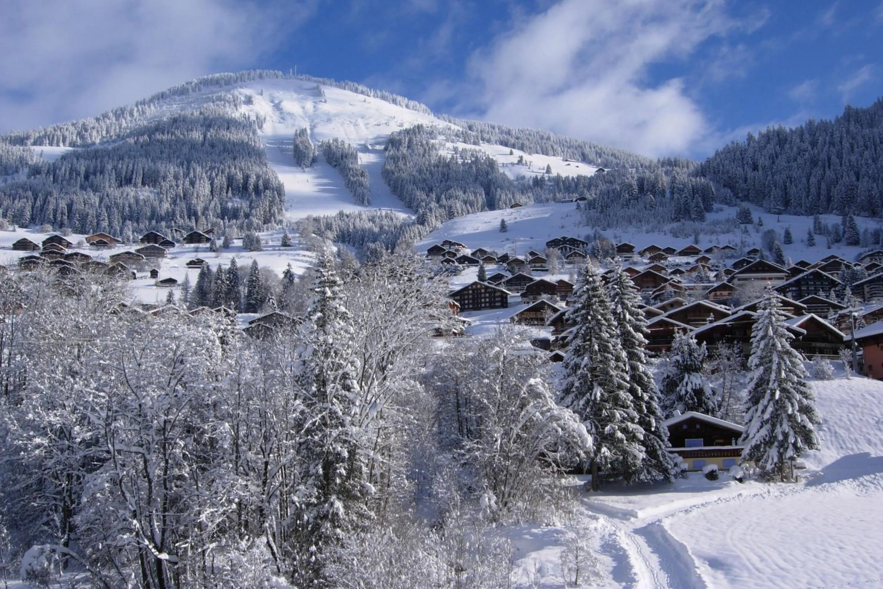 View (from property/room) in Au Bois de Lune