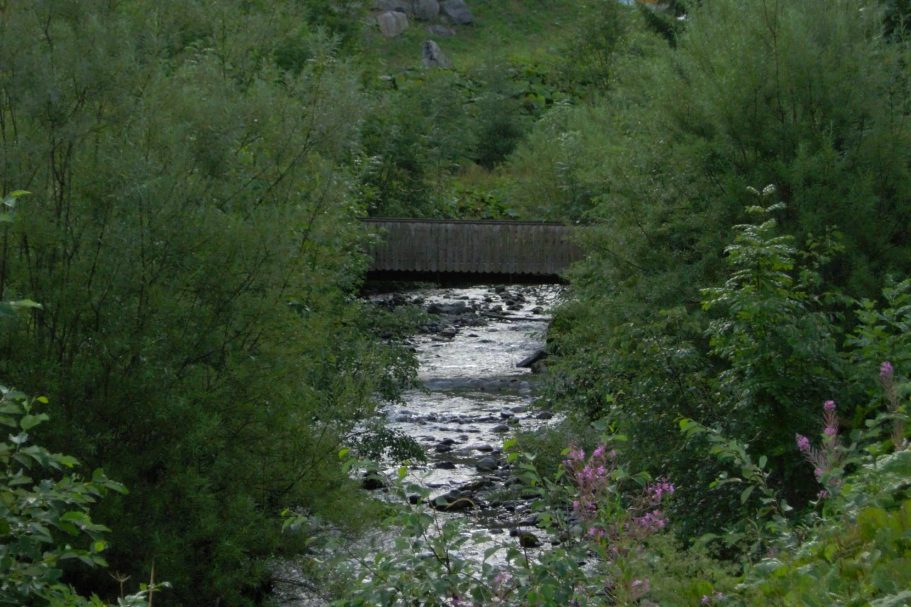 View (from property/room) in Au Bois de Lune