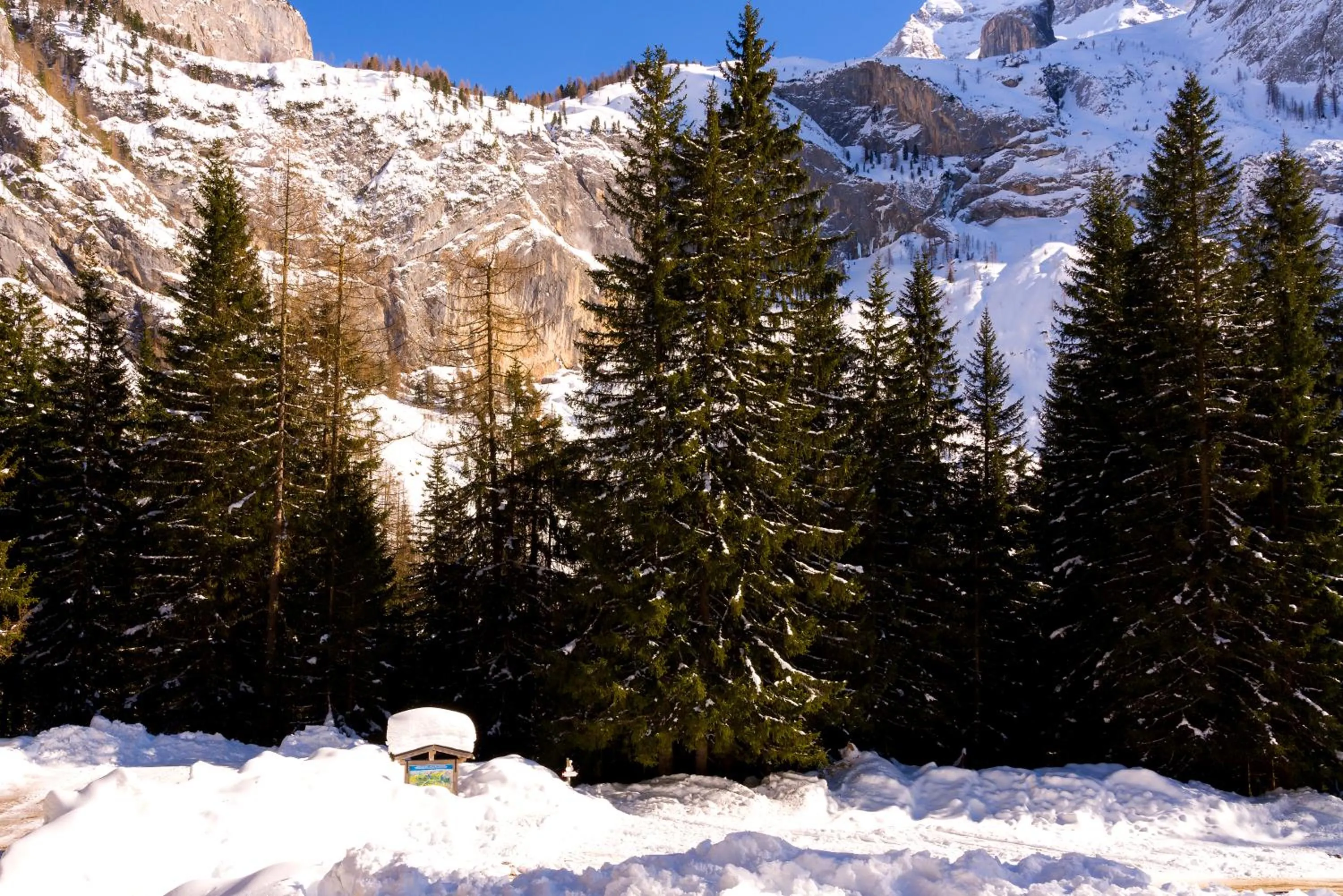 Natural landscape in Hotel Villetta Maria Cottage