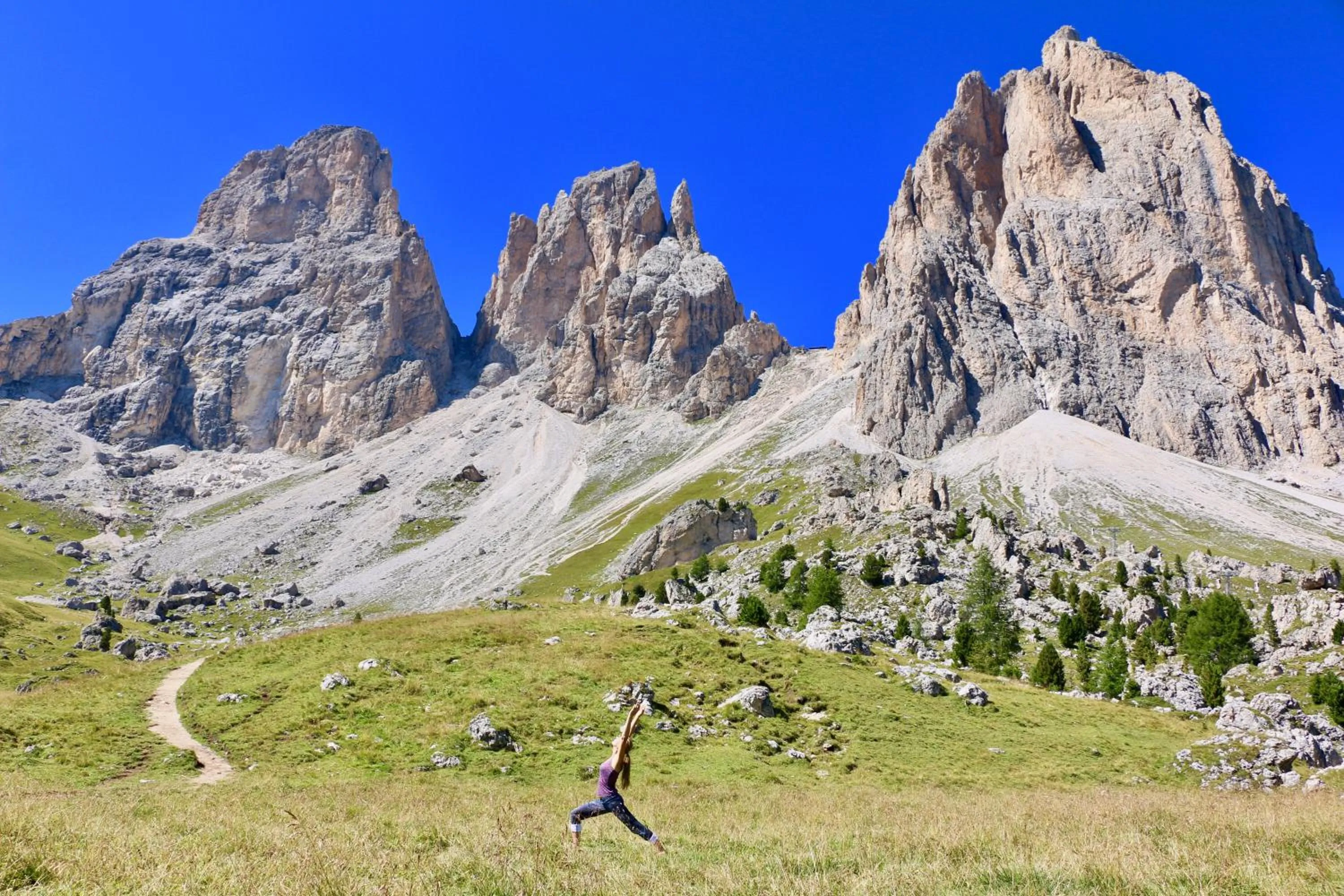 Natural landscape in Hotel Soreghes Gran Chalet