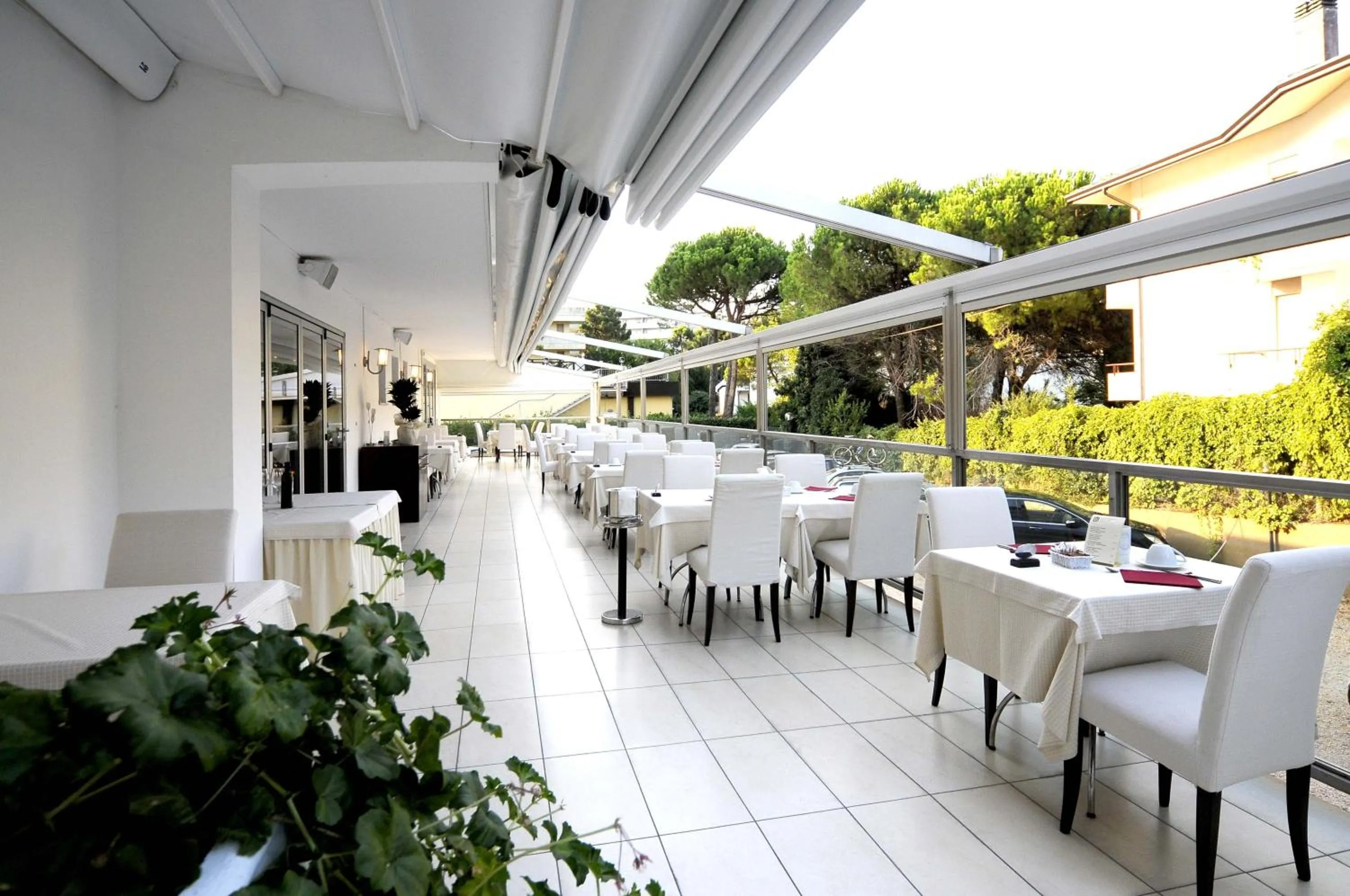 Restaurant/places to eat in Hotel Rex