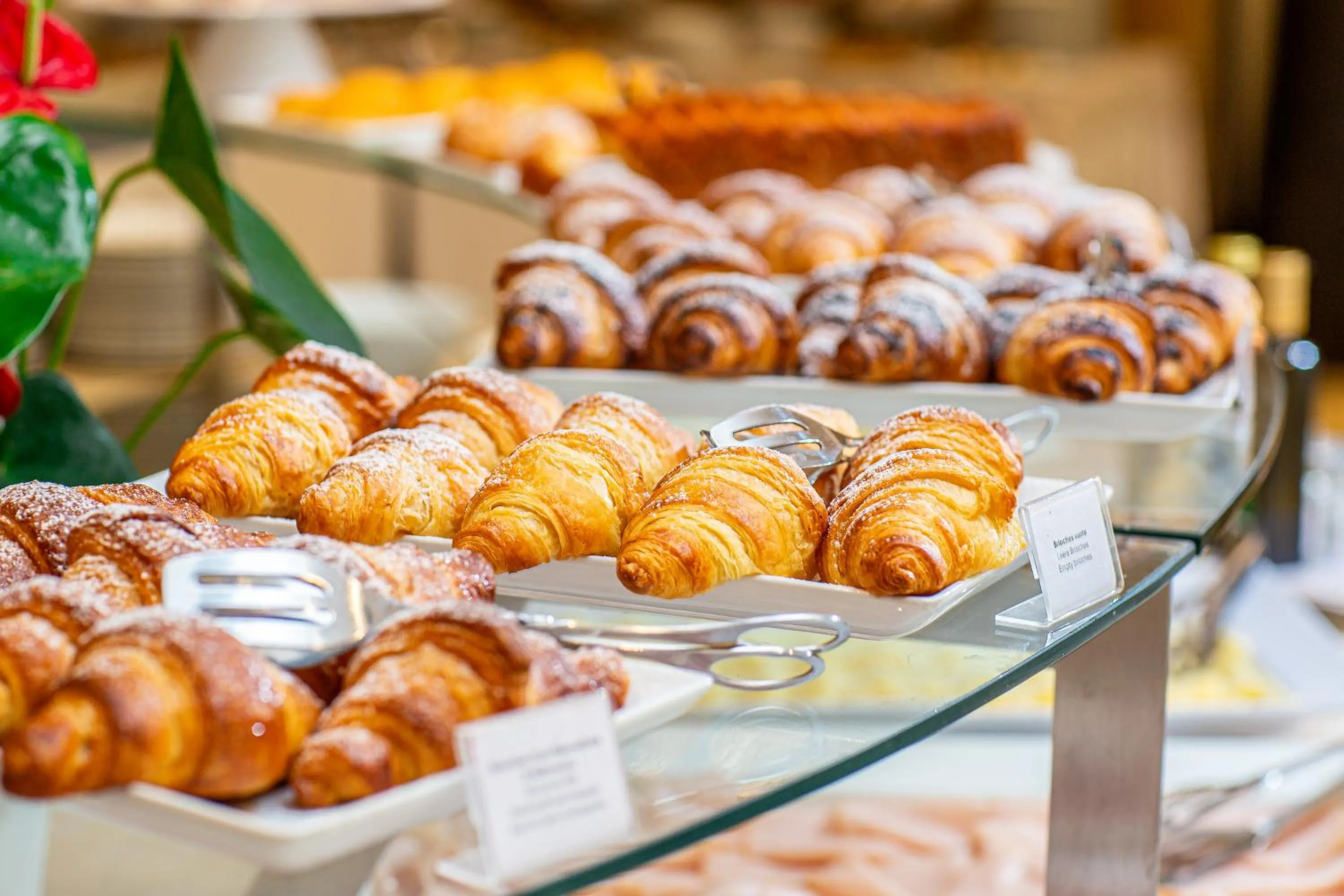 Restaurant/places to eat in Hotel Rex