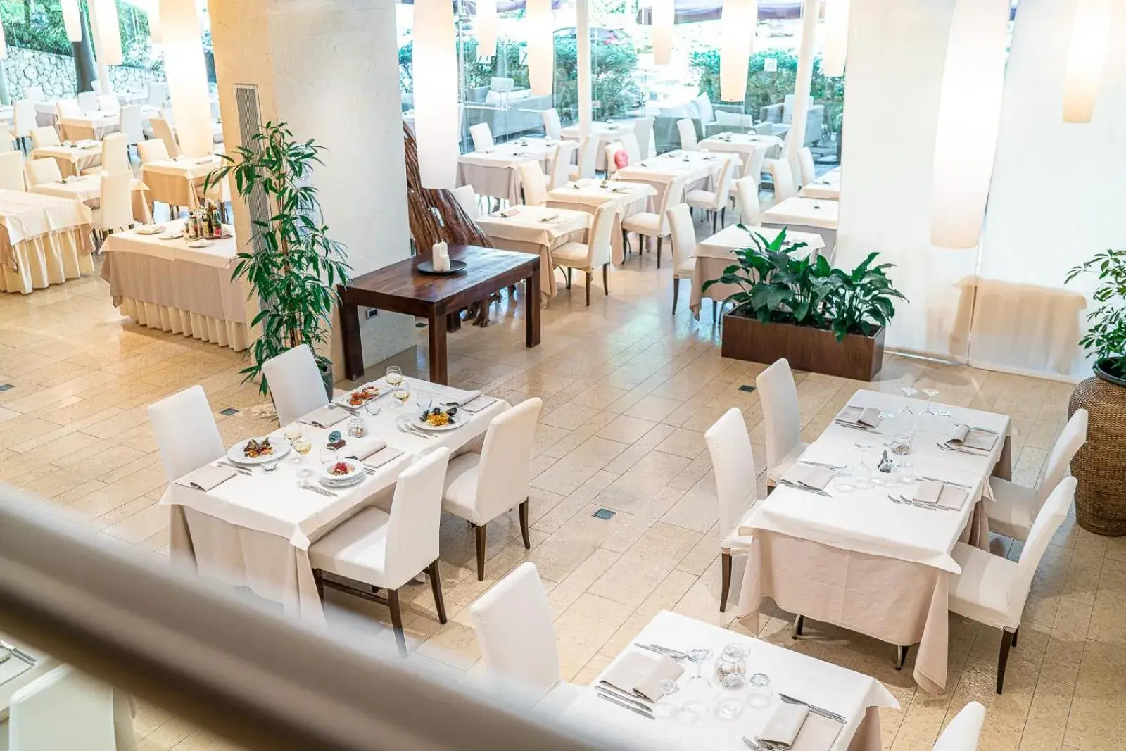 Restaurant/places to eat in Hotel Rex Restaurant/places to eat in Hotel Rex