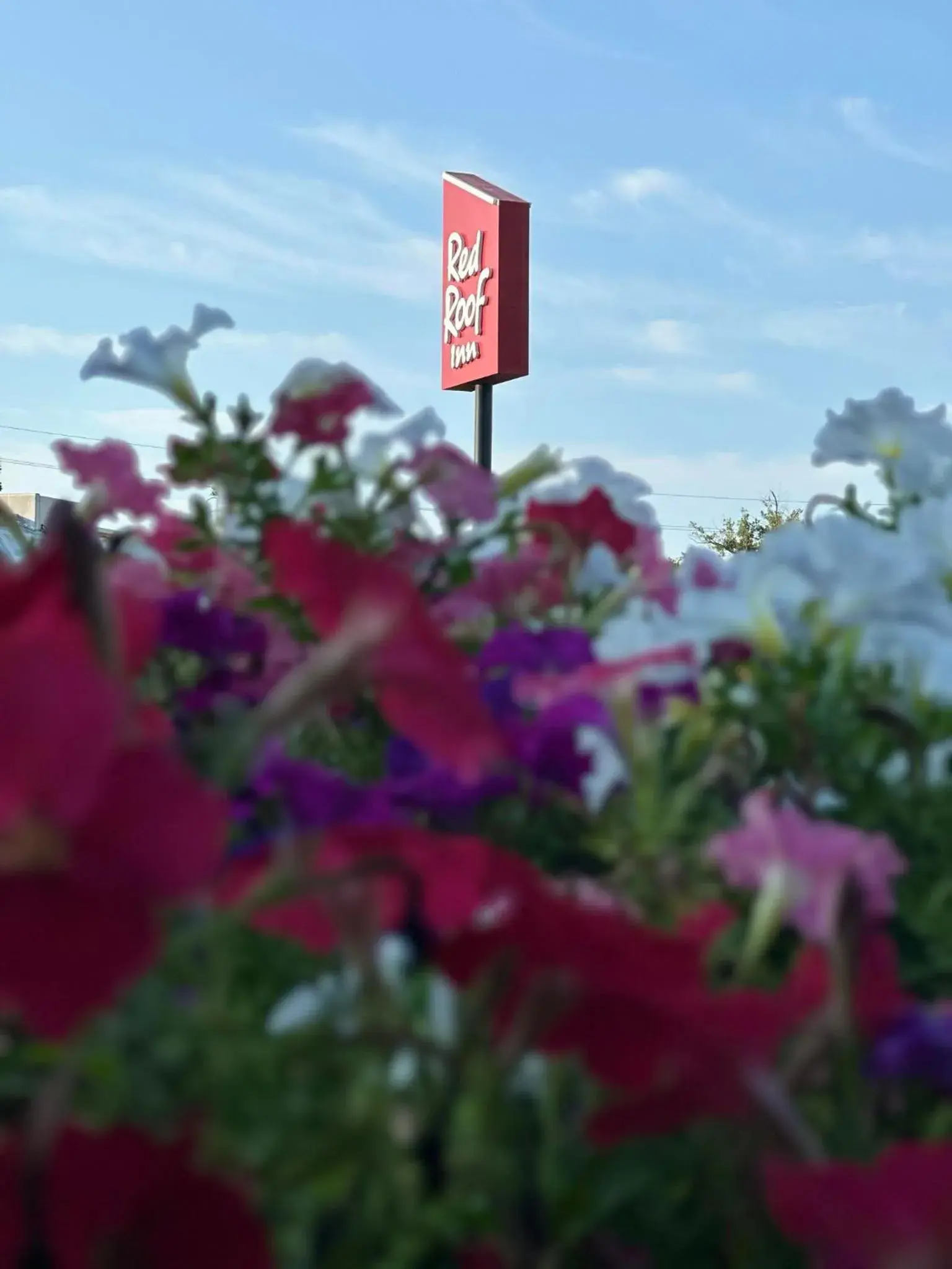 Property building in Red Roof Inn Panama City Property building in Red Roof Inn Panama City