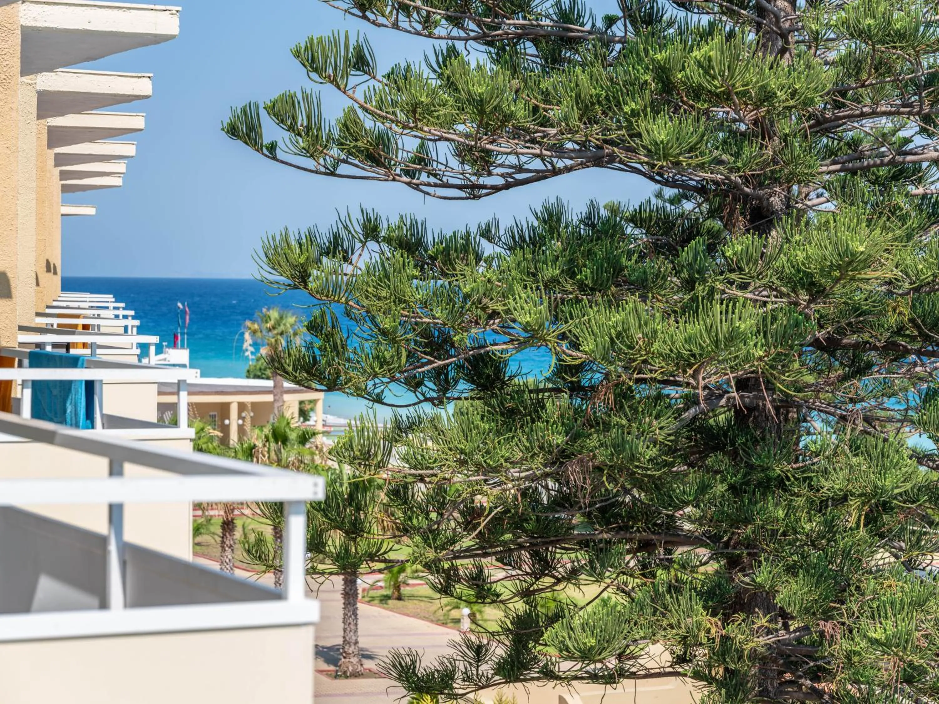 Property building in Sunshine Rhodes