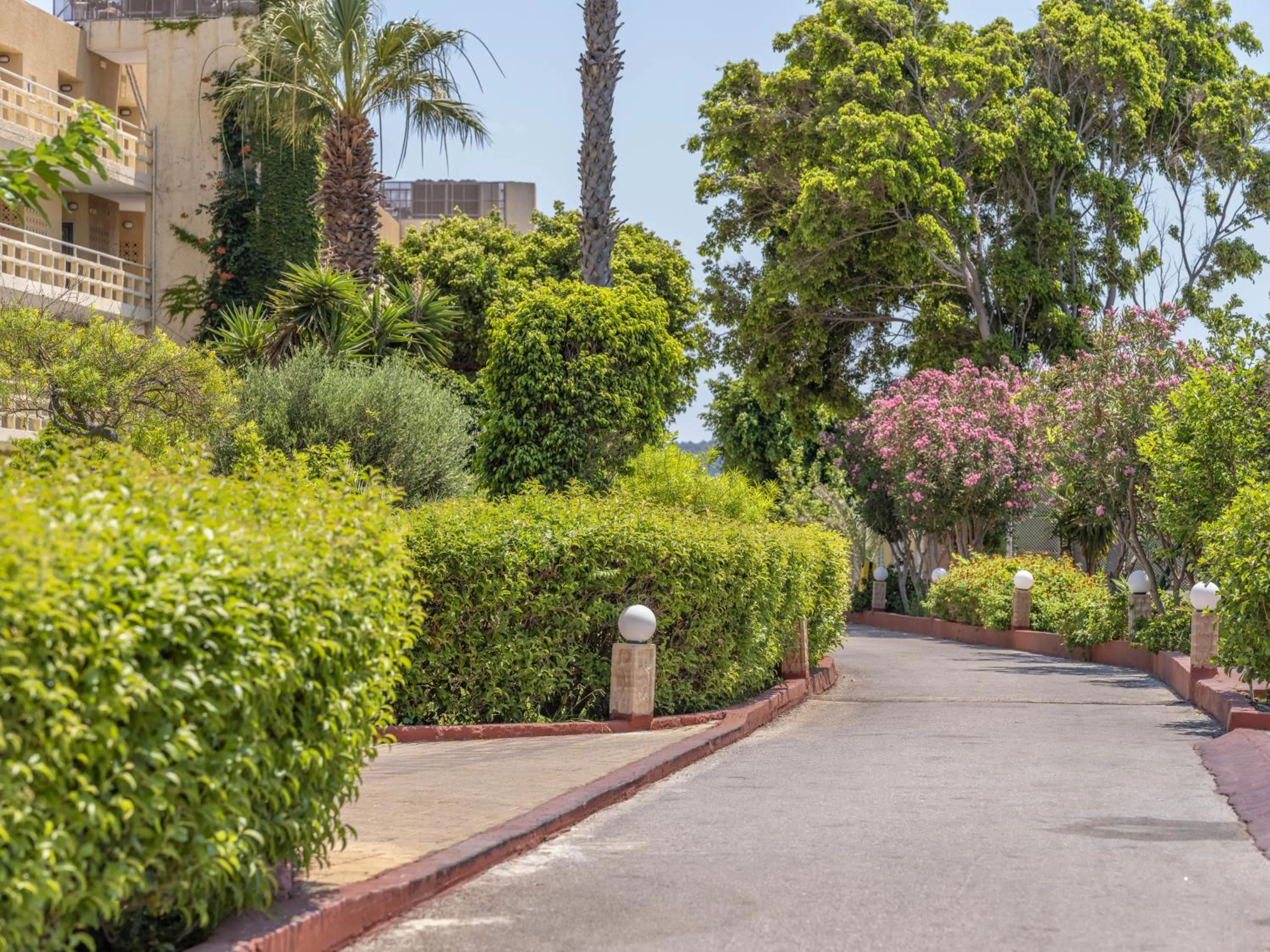 Spring in Sunshine Rhodes