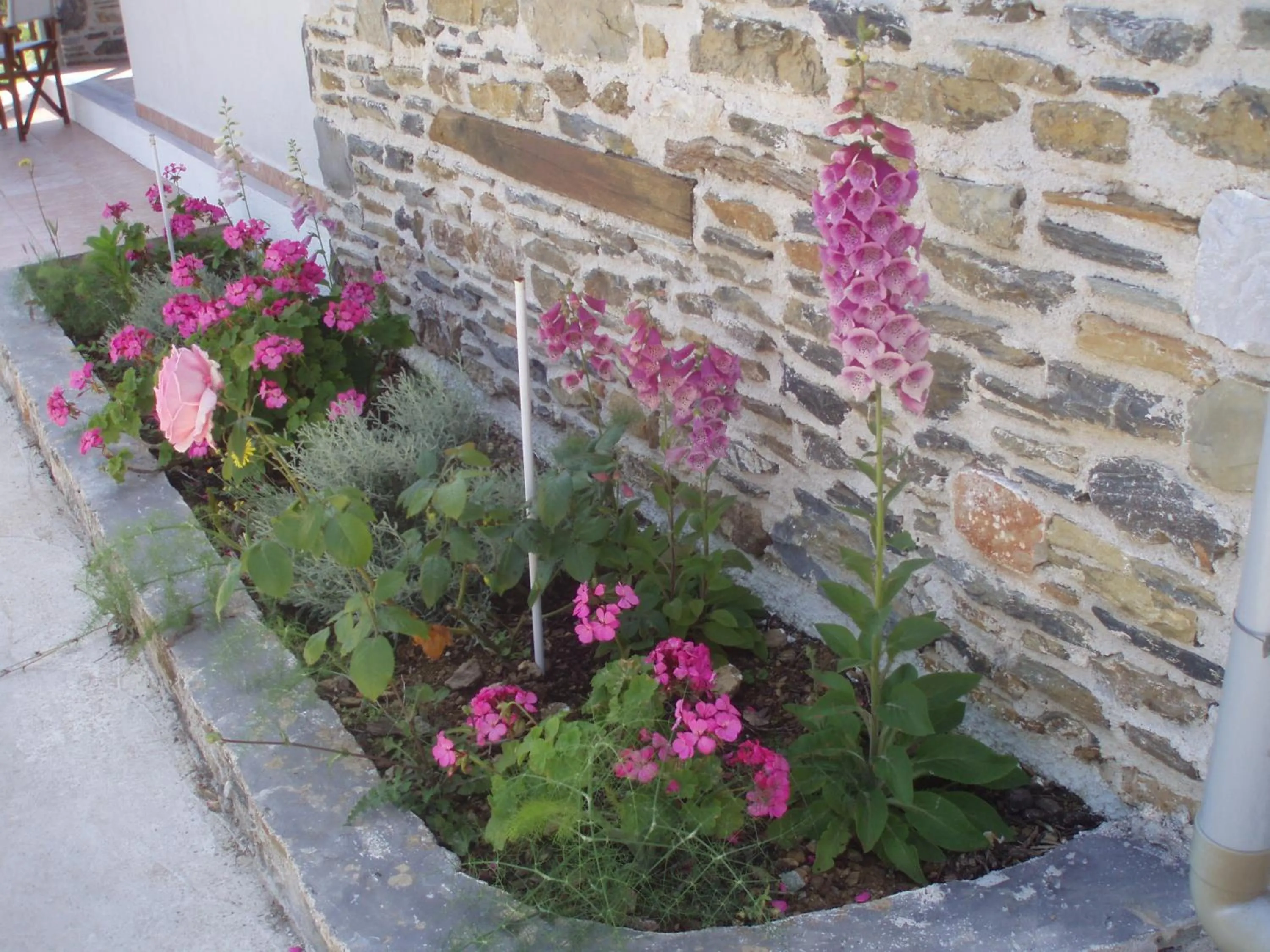 Garden in Liofoto