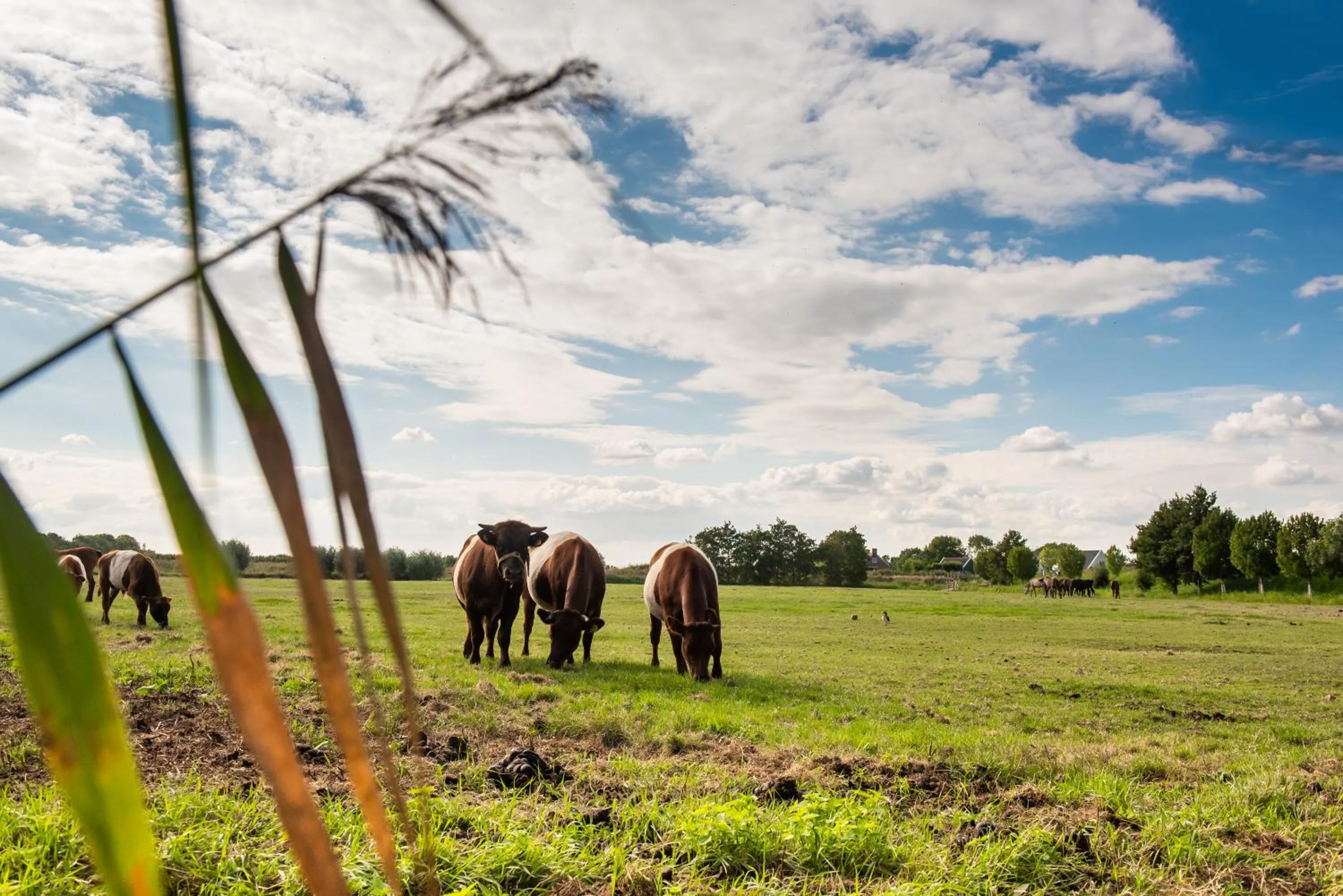 Boutique hotel Villa Oldenhoff