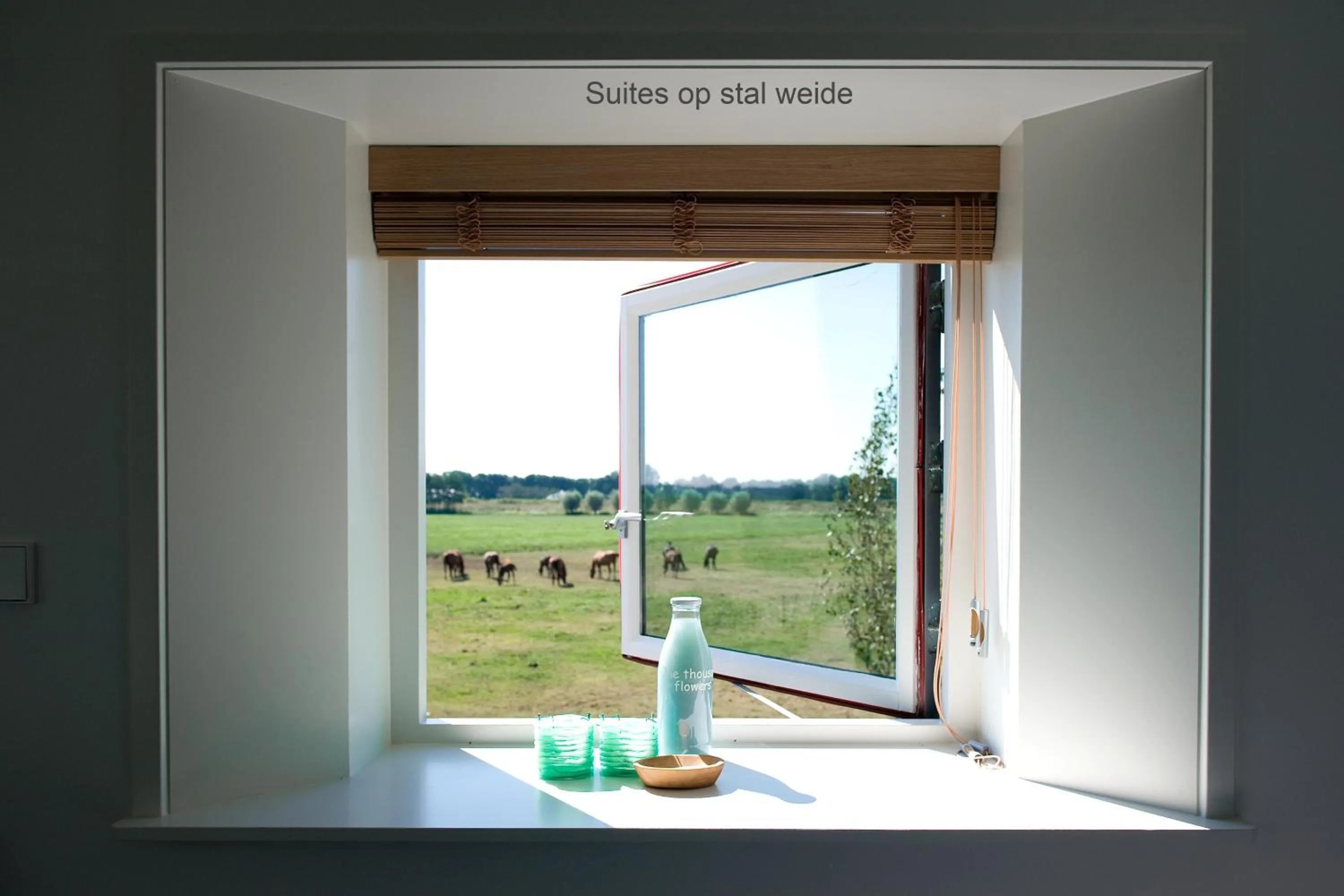 View (from property/room) in Boutique hotel Villa Oldenhoff