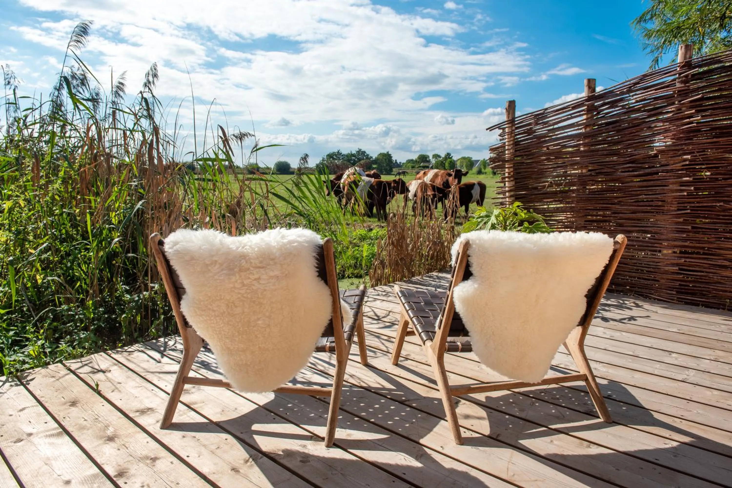 Sauna in Boutique hotel Villa Oldenhoff