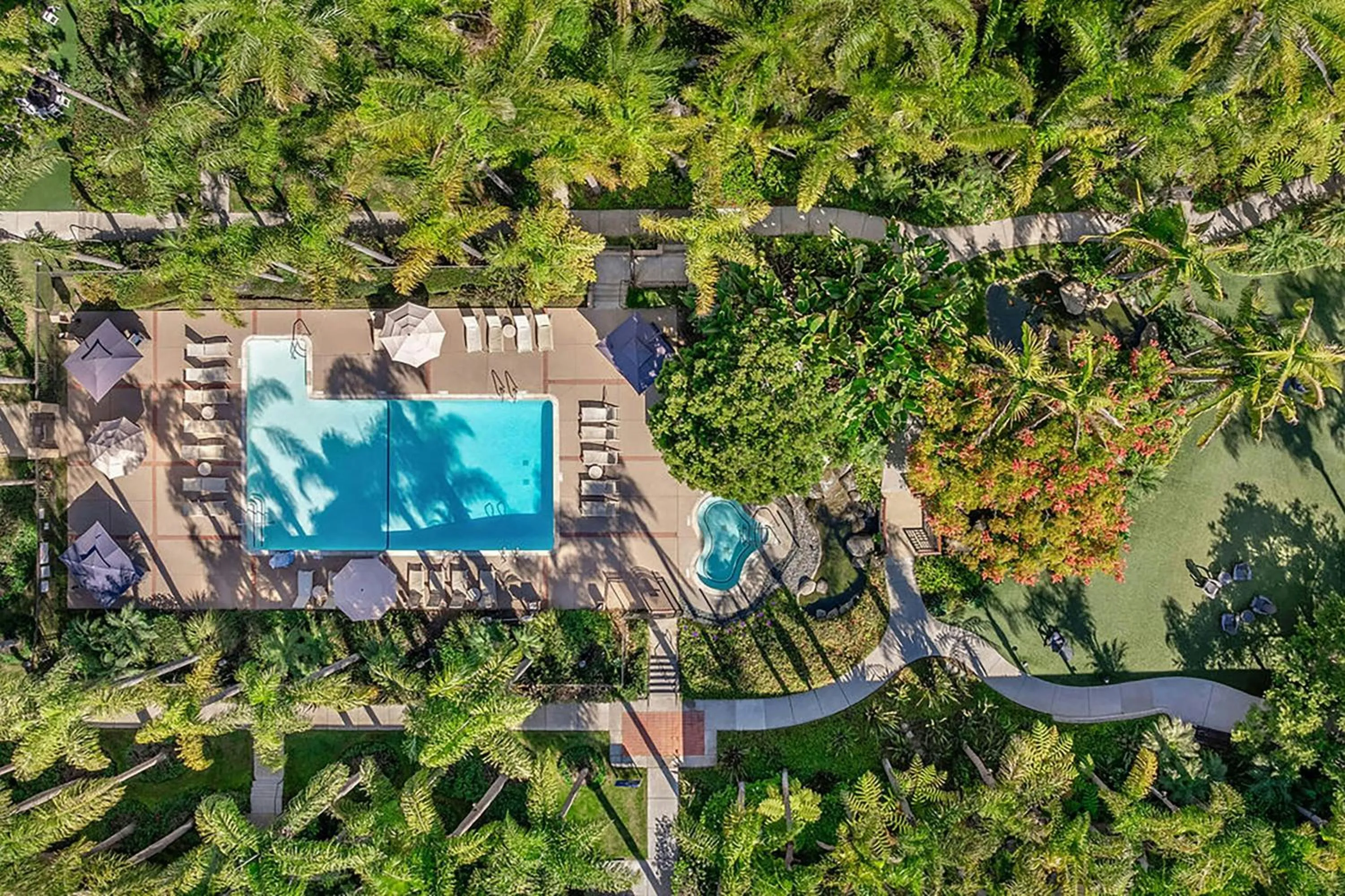 View (from property/room) in Sheraton La Jolla