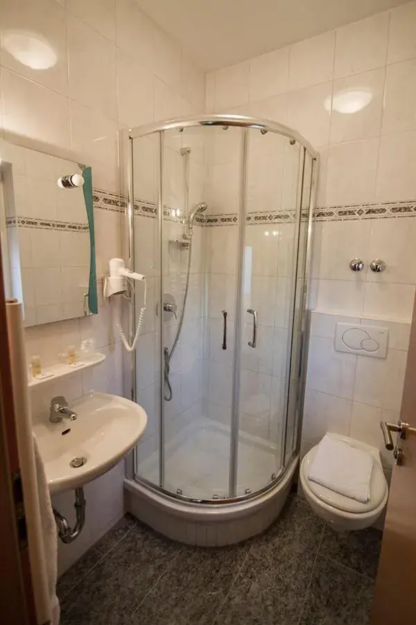 Single Room in Hotel & Restaurant Garda Single Room in Hotel & Restaurant Garda