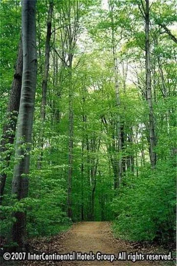 Property building in Staybridge Suites Oakville Burlington by IHG