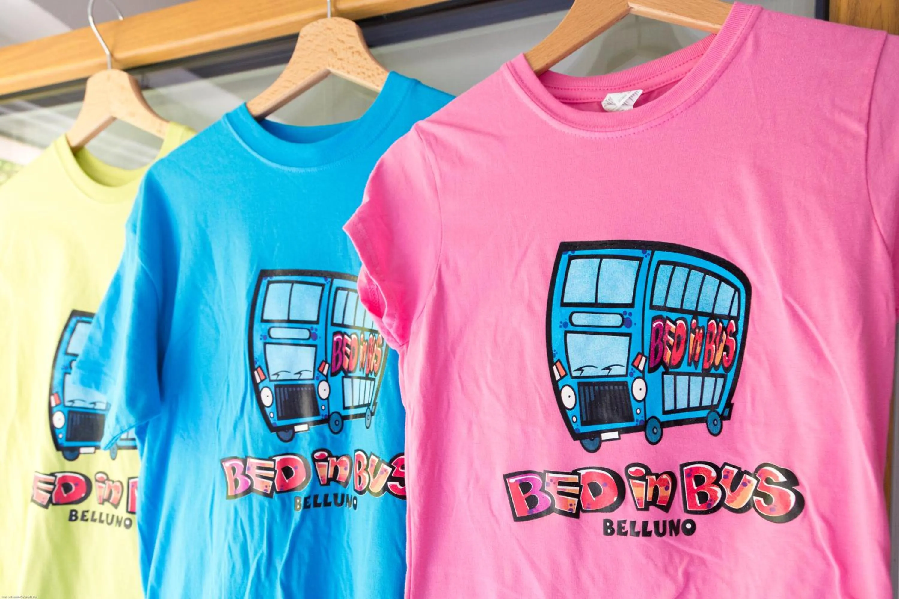 Decorative detail in Bed In Bus