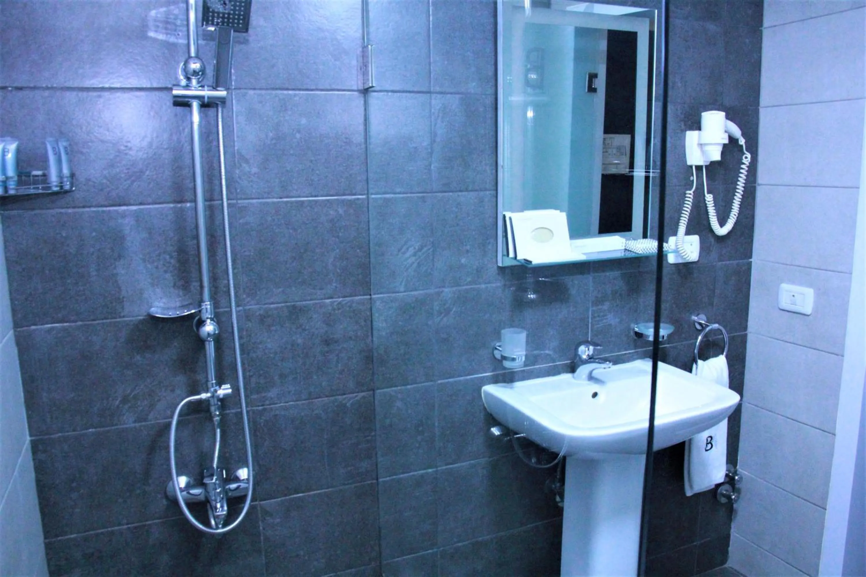 Shower in Beverly Hotel Beirut