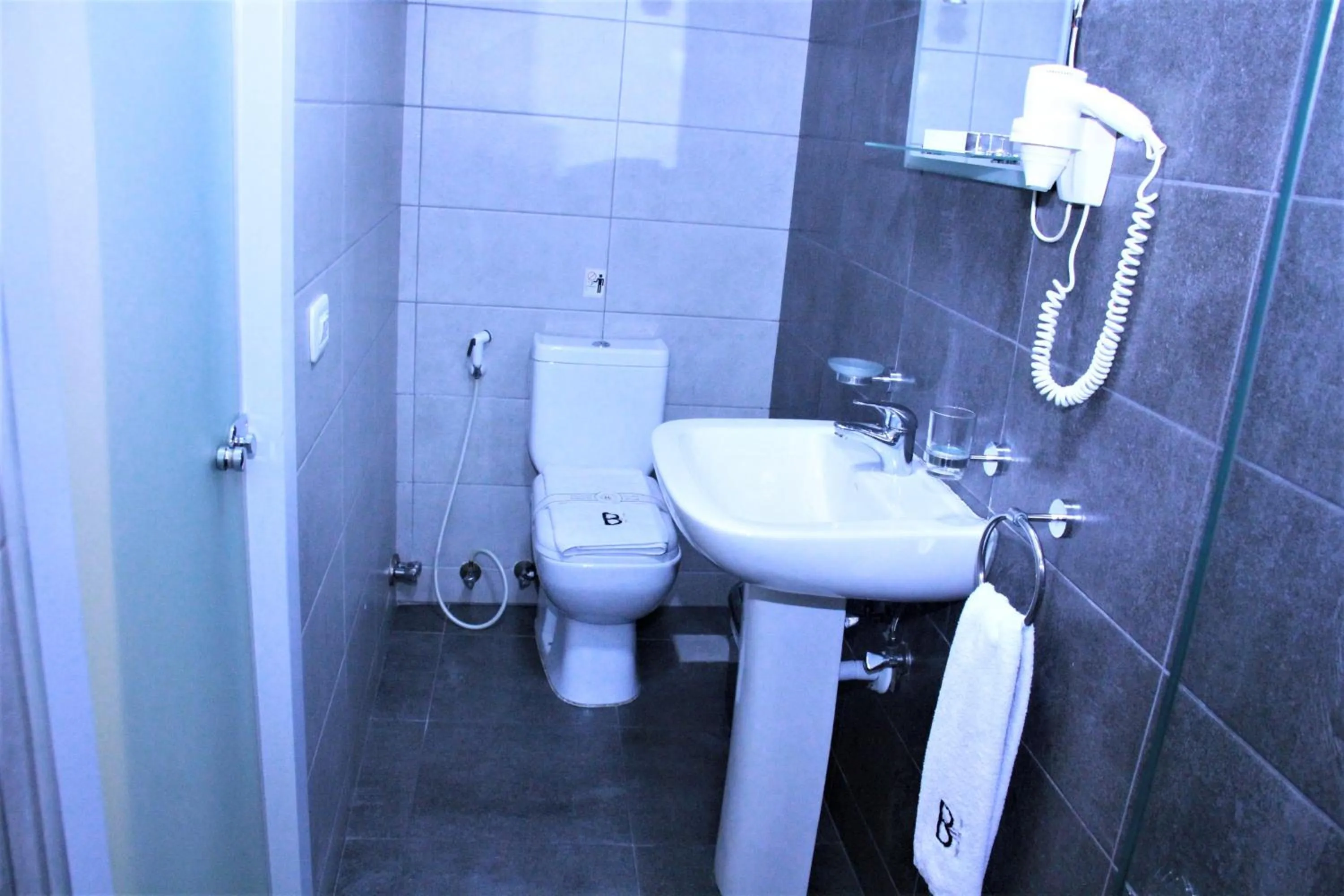 Toilet in Beverly Hotel Beirut