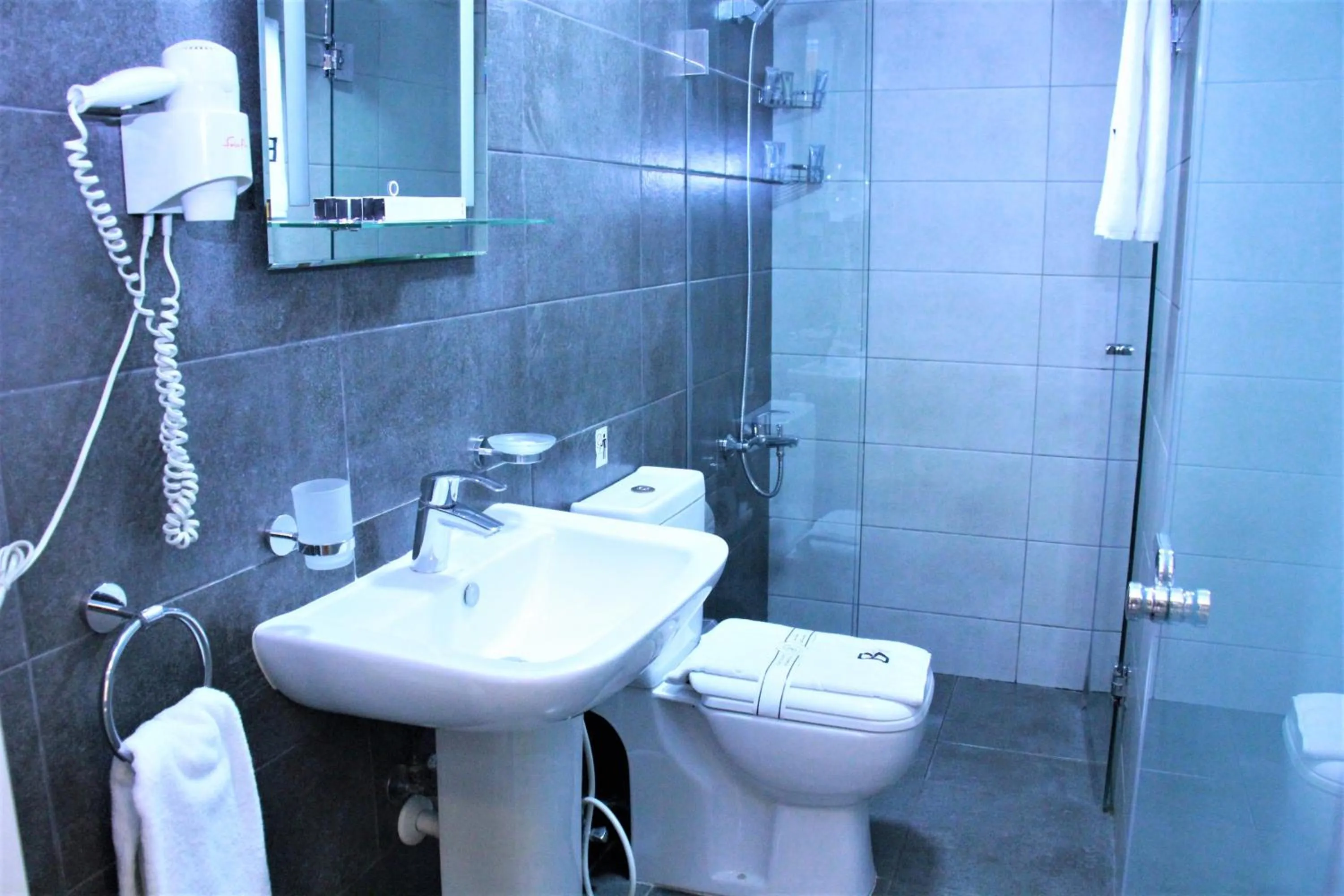 Shower in Beverly Hotel Beirut