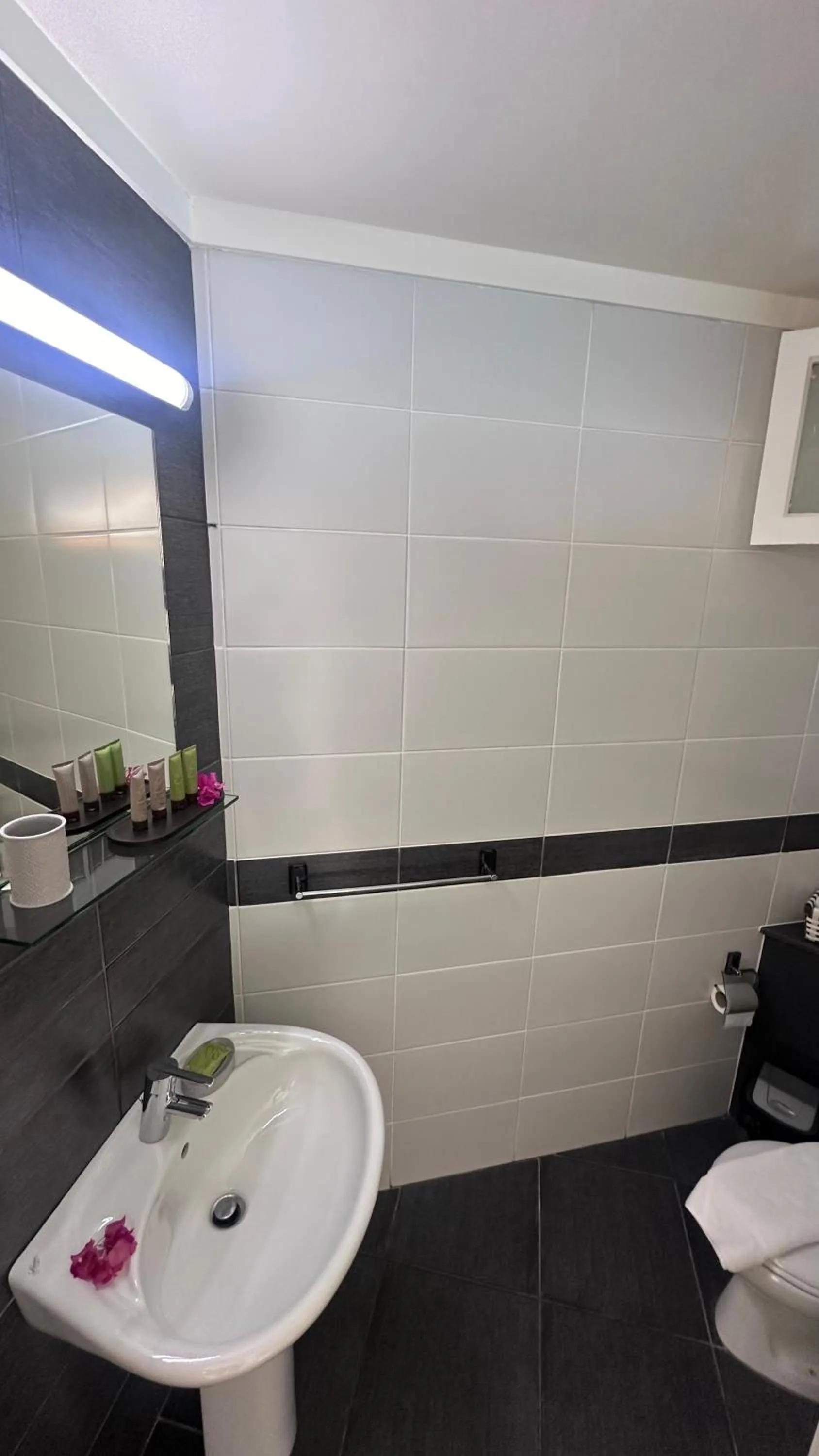 Bathroom in St Paul Resort