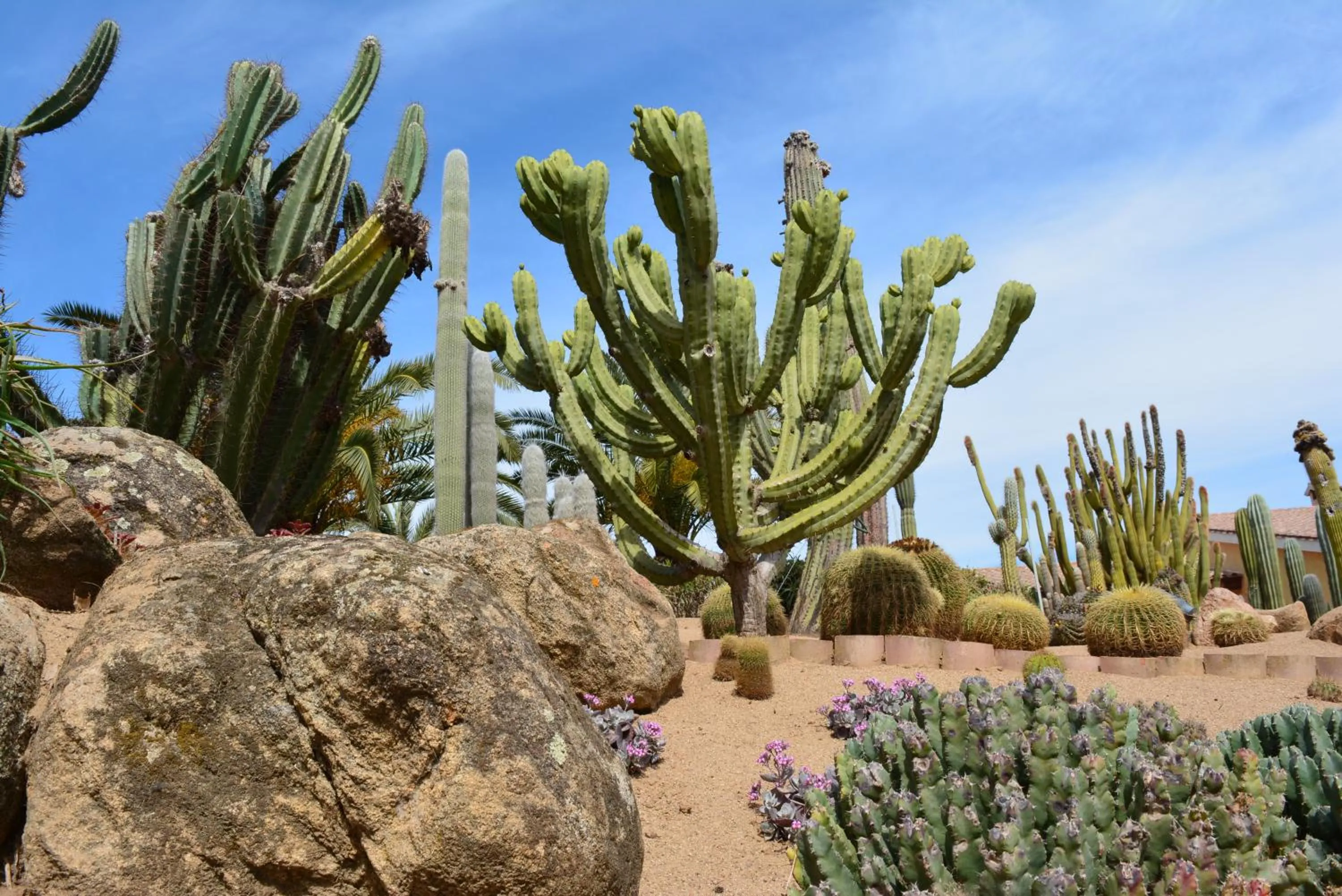 Garden in Lantana Resort Hotel&Apartments